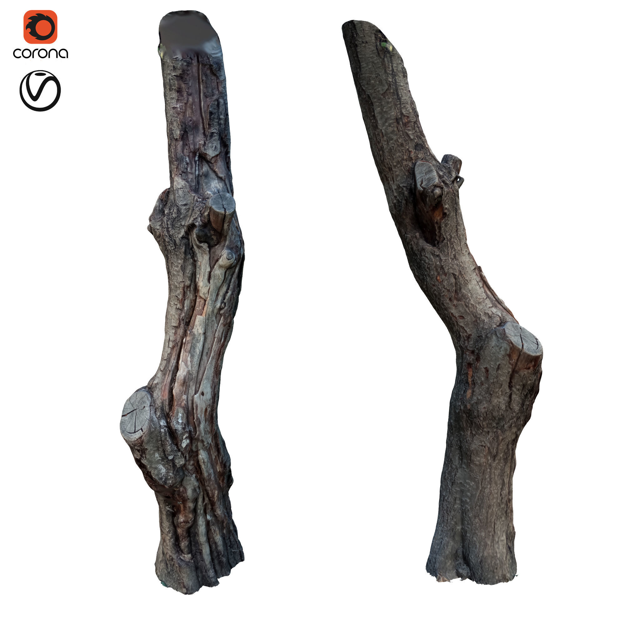 tree trunk 10 total tree trunk vol 2 3D model_40