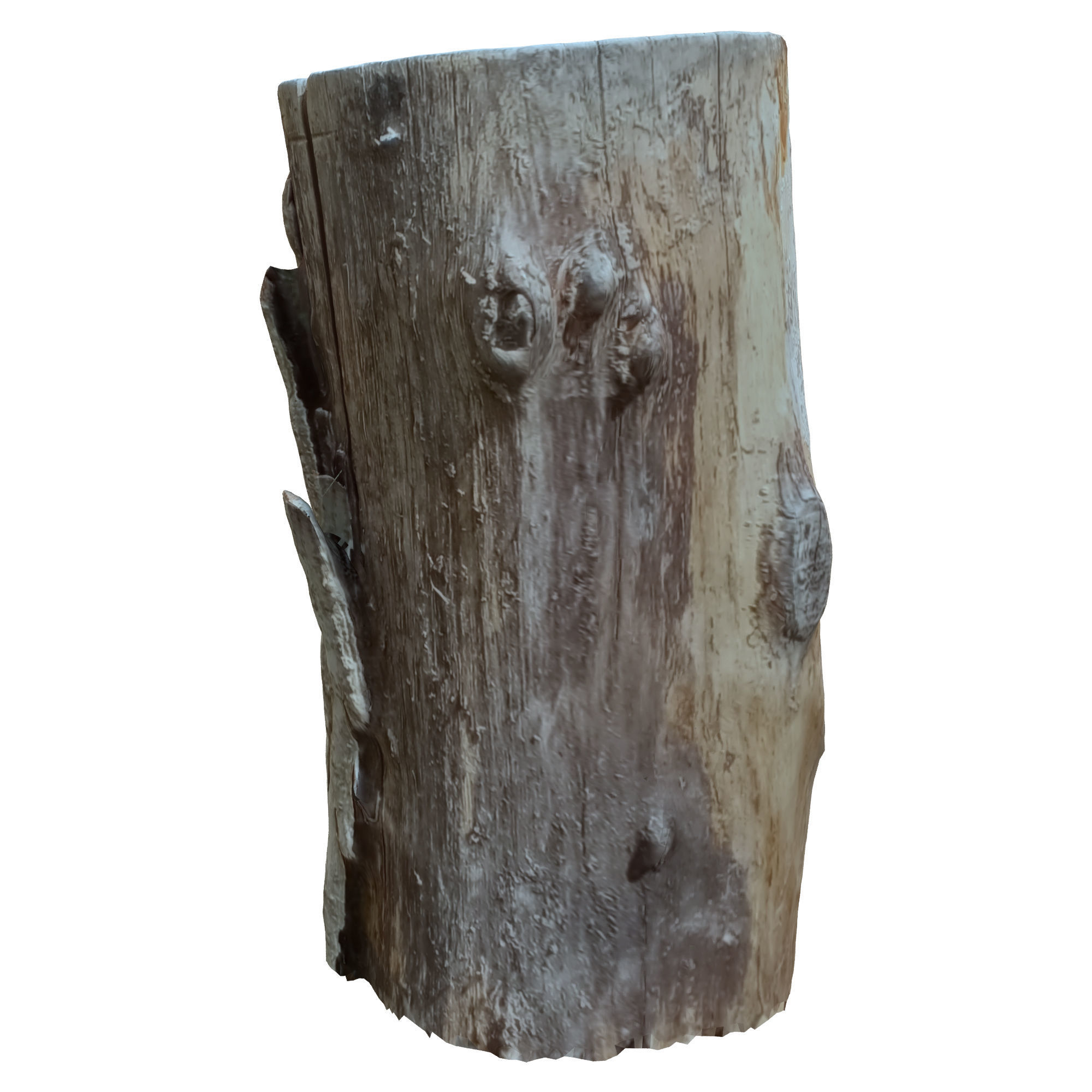 tree trunk 10 total tree trunk vol 2 3D model_4