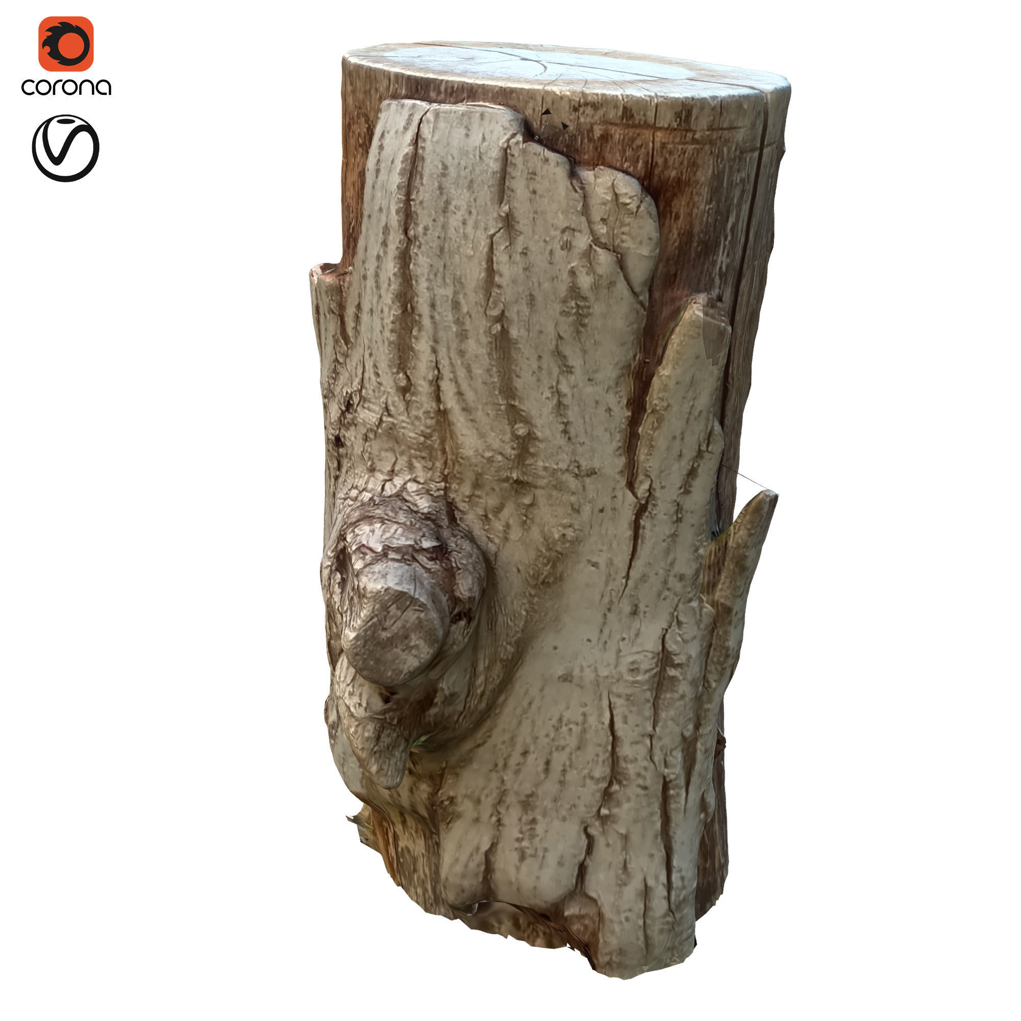 tree trunk 10 total tree trunk vol 2 3D model_1
