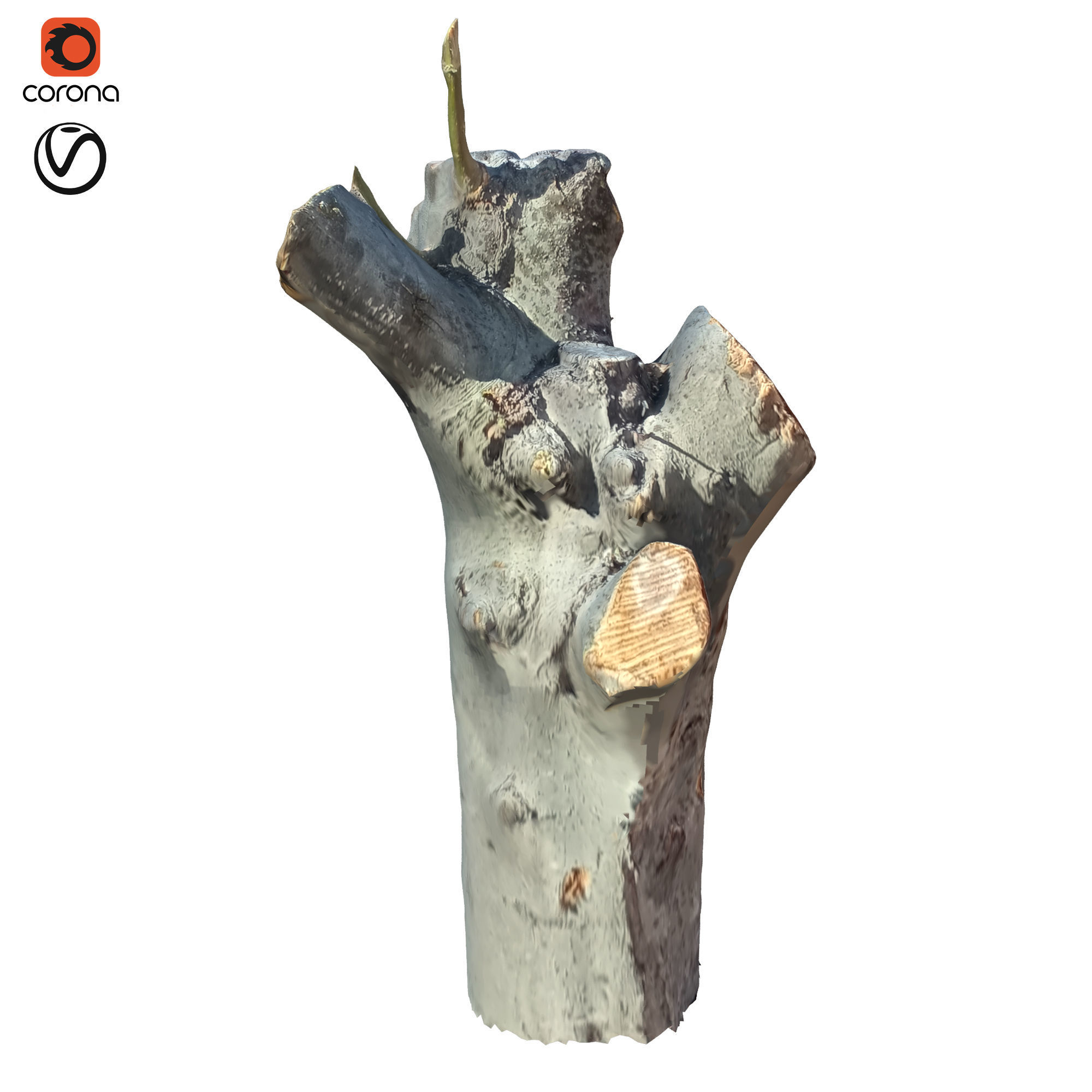 tree trunk 10 total tree trunk vol 2 3D model_41