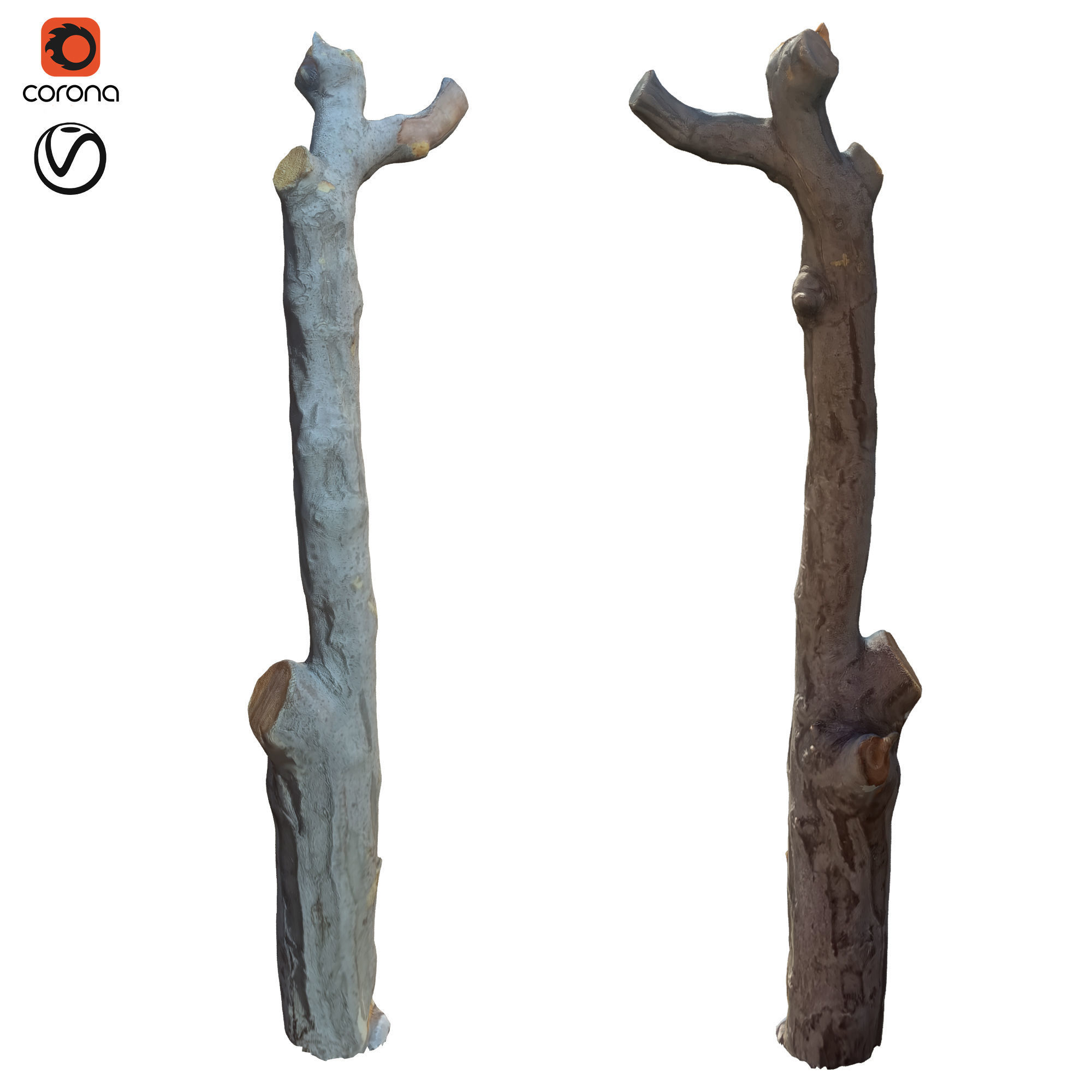 tree trunk 10 total tree trunk vol 2 3D model_28