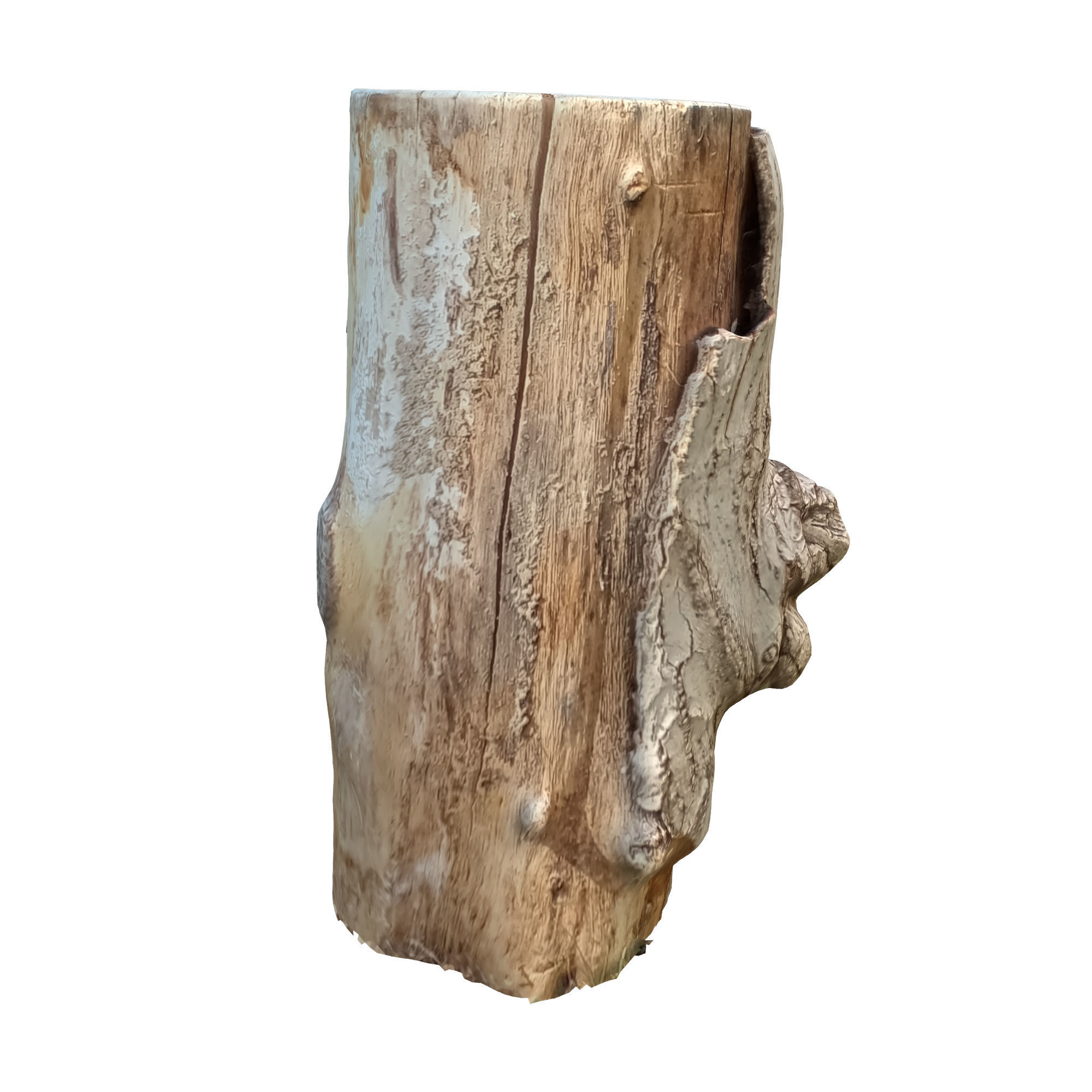 tree trunk 10 total tree trunk vol 2 3D model_3