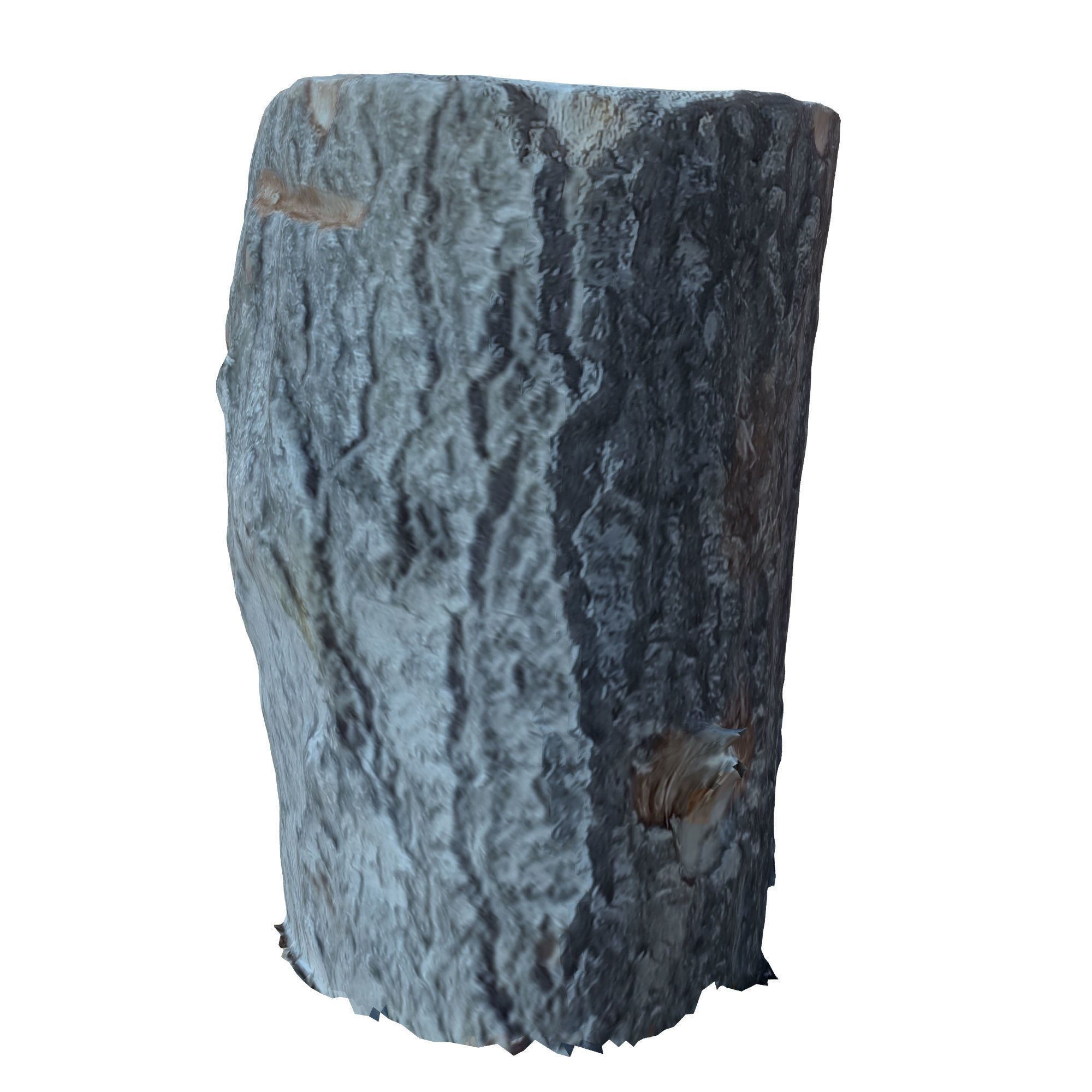 tree trunk 10 total tree trunk vol 2 3D model_31