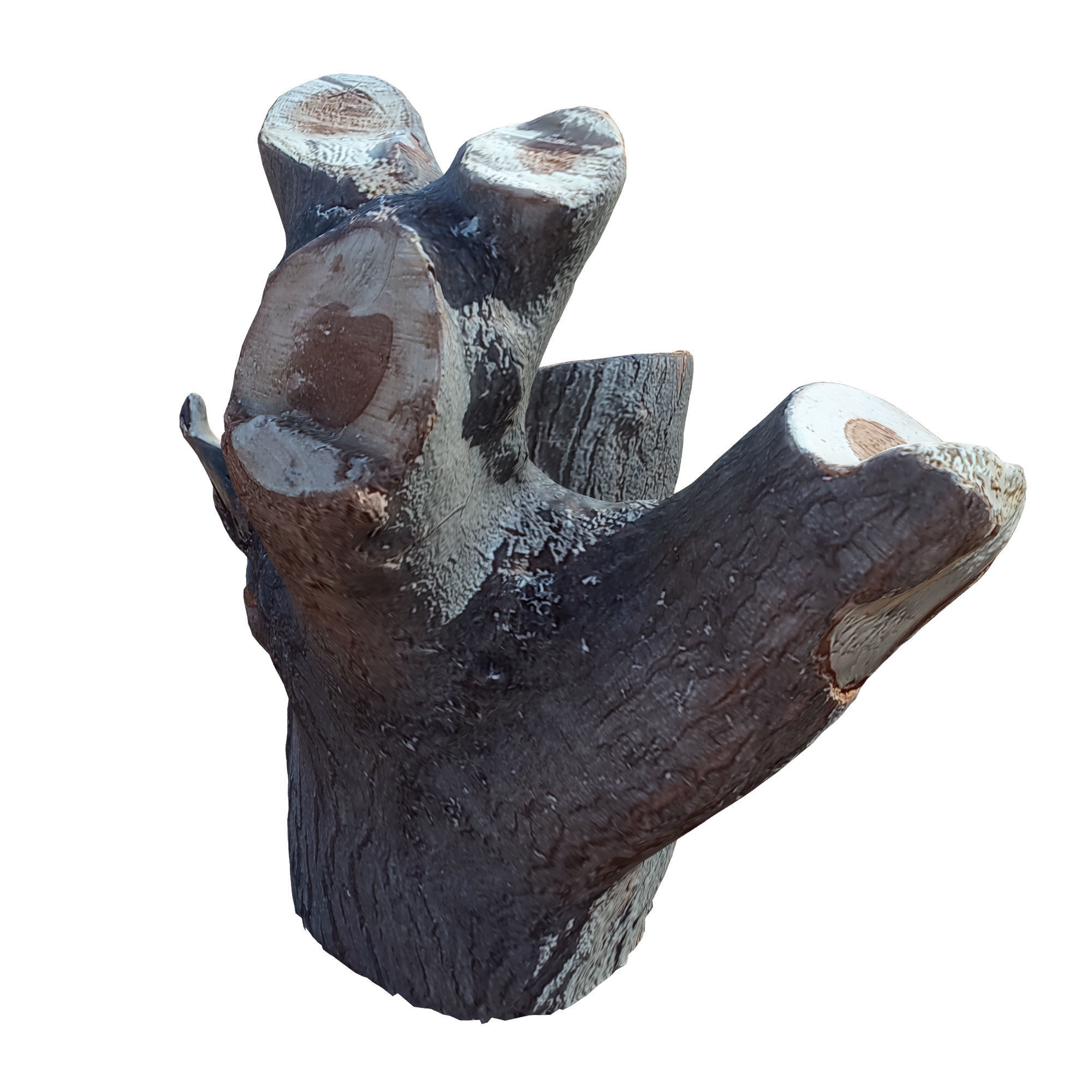 tree trunk 10 total tree trunk vol 2 3D model_44