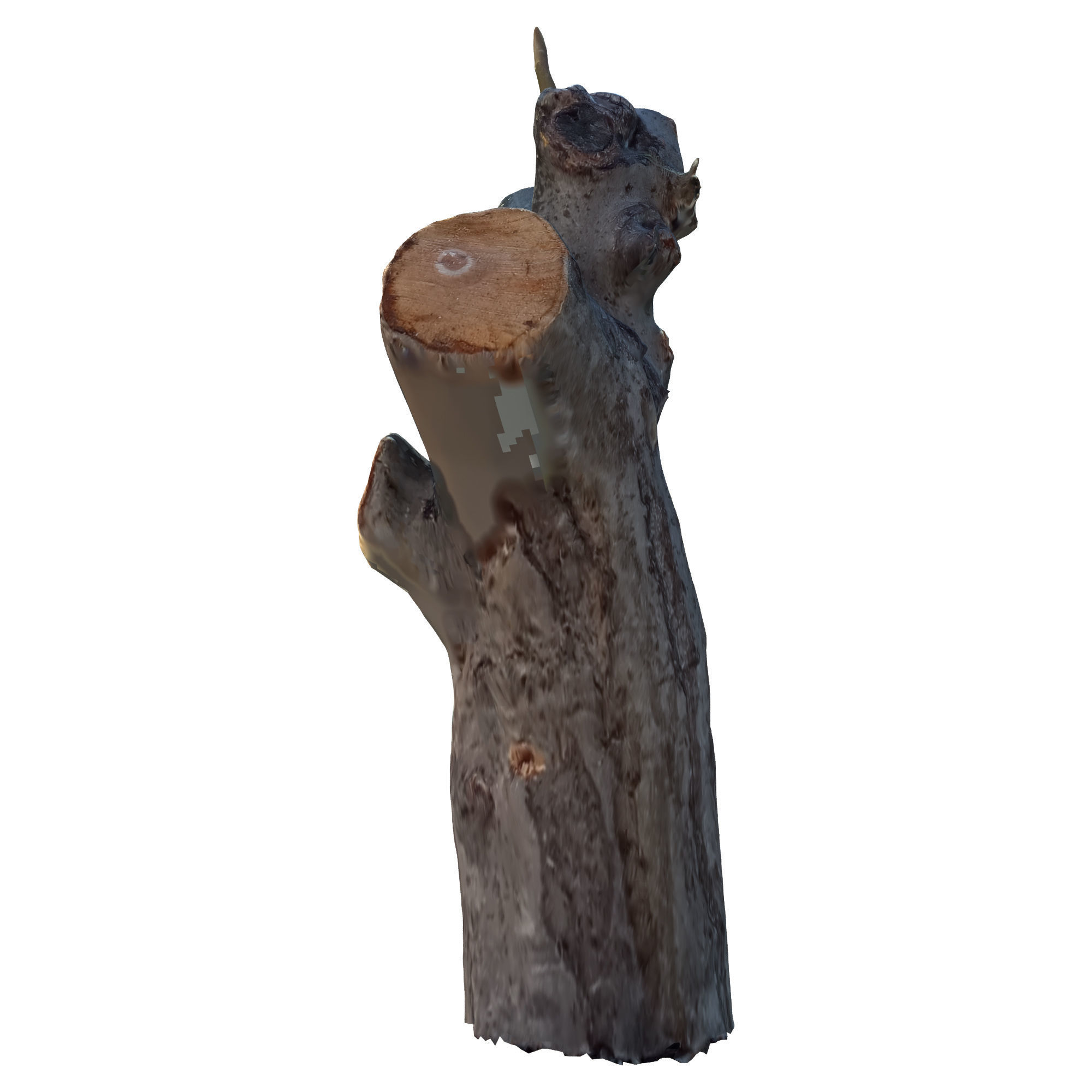 tree trunk 10 total tree trunk vol 2 3D model_11