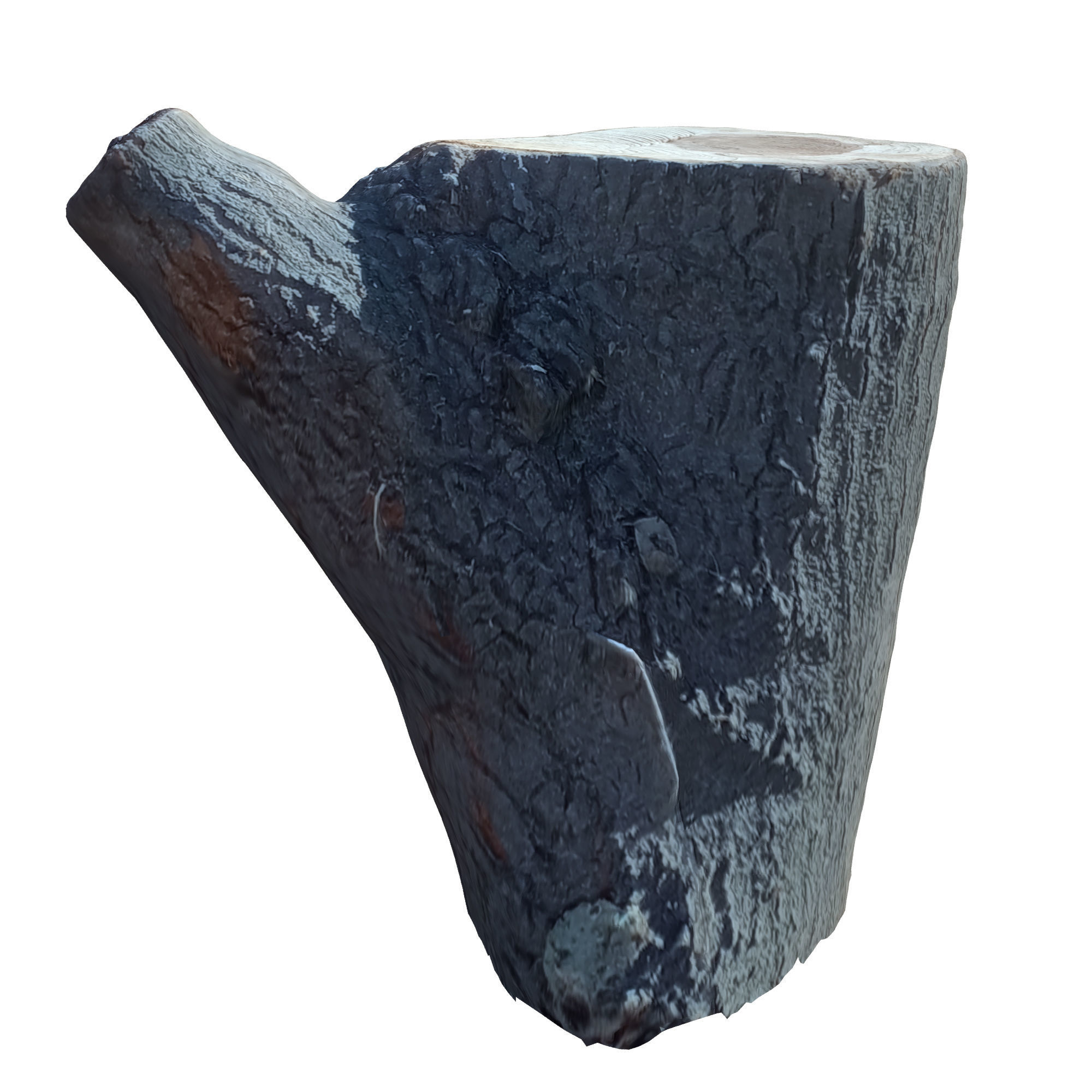 tree trunk 10 total tree trunk vol 2 3D model_49
