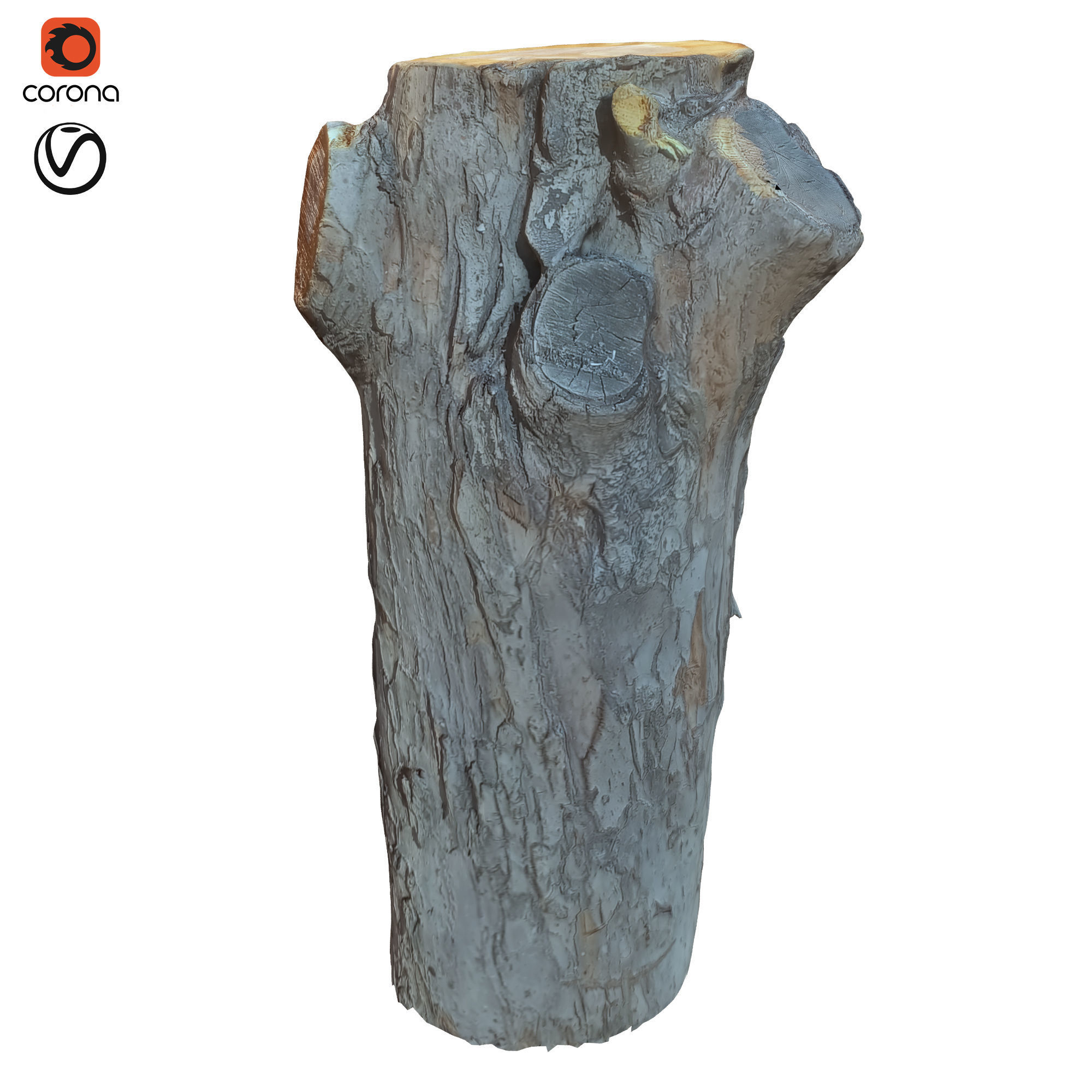 tree trunk 10 total tree trunk vol 2 3D model_35