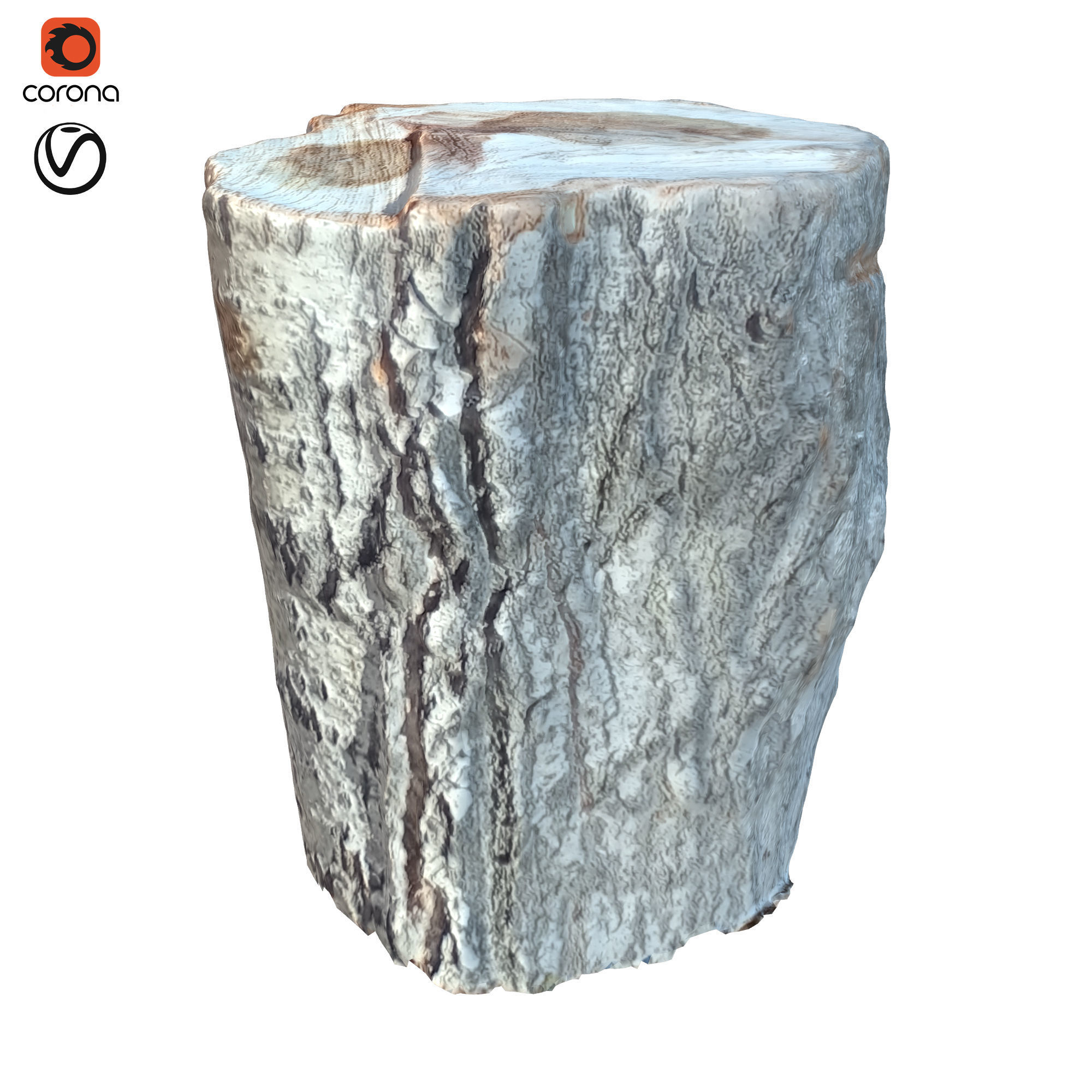 tree trunk 10 total tree trunk vol 2 3D model_55