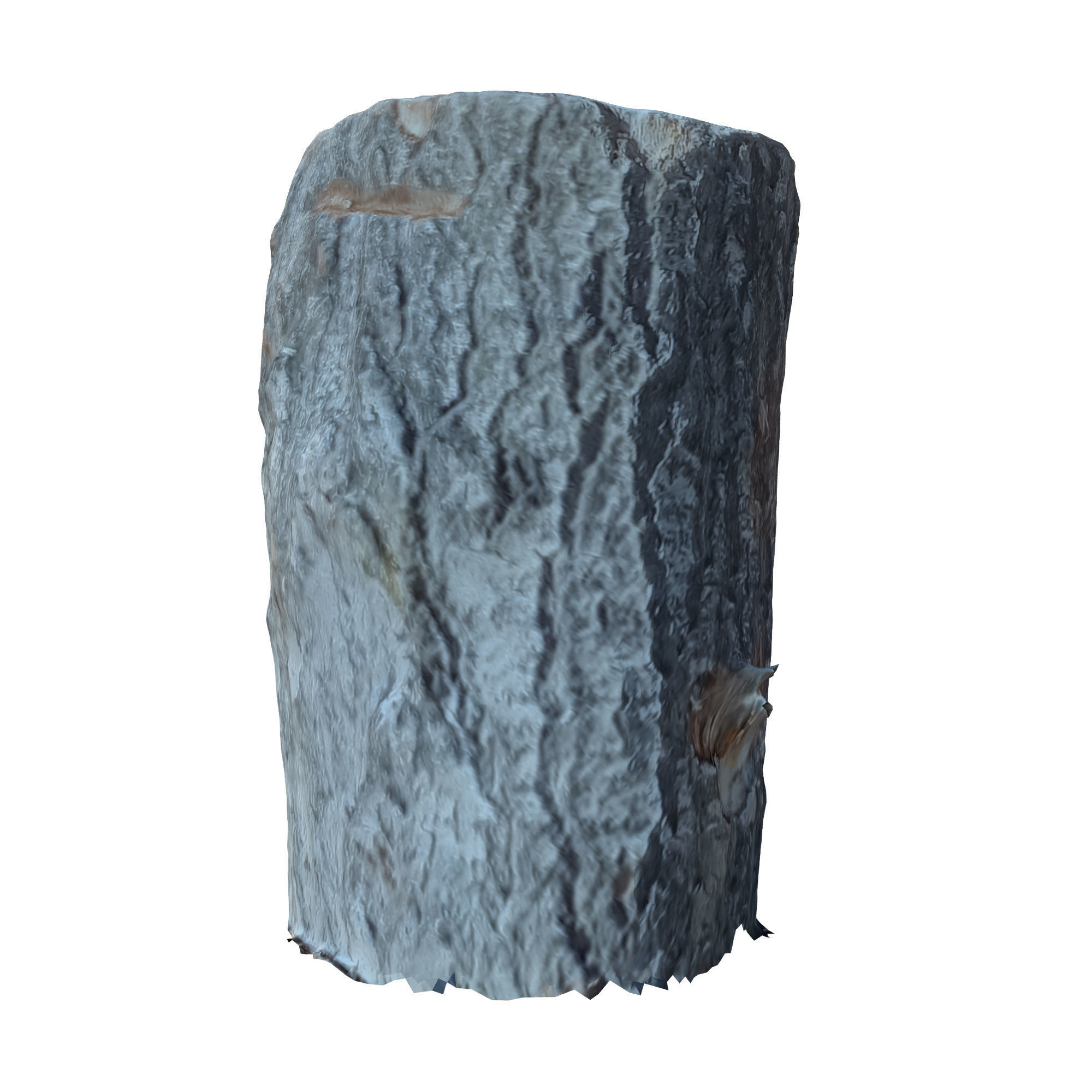 tree trunk 10 total tree trunk vol 2 3D model_21