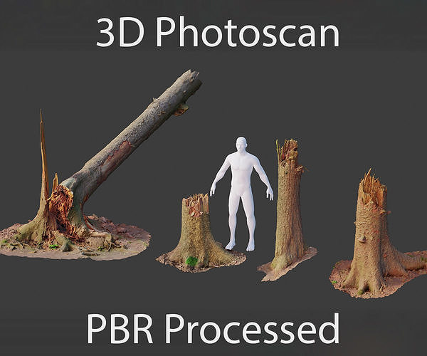 PBR Spruce Stump Broken Dead Photoscan Realistic  3D model