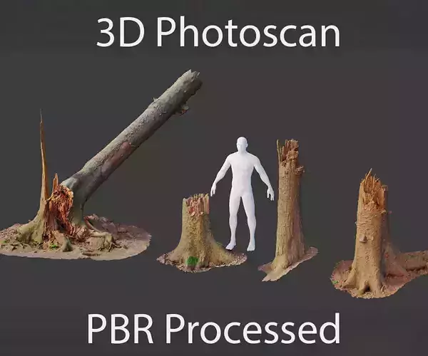 PBR Spruce Stump Broken Dead Photoscan Realistic  3D model