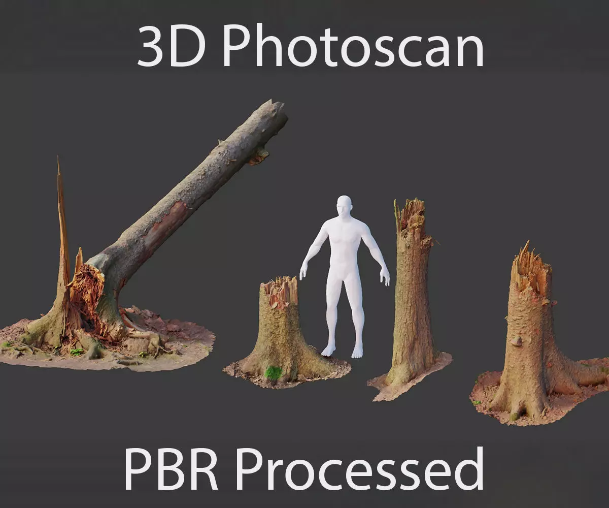 PBR Spruce Stump Broken Dead Photoscan Realistic  3D model_0