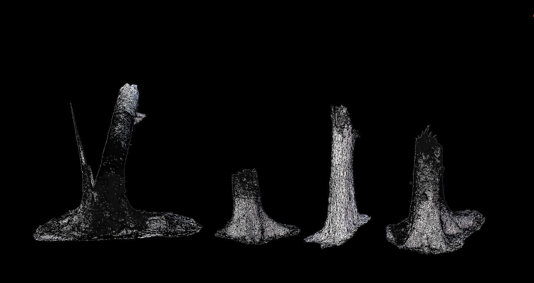 PBR Spruce Stump Broken Dead Photoscan Realistic  3D model_3