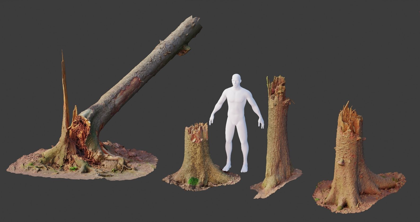 PBR Spruce Stump Broken Dead Photoscan Realistic  3D model_12