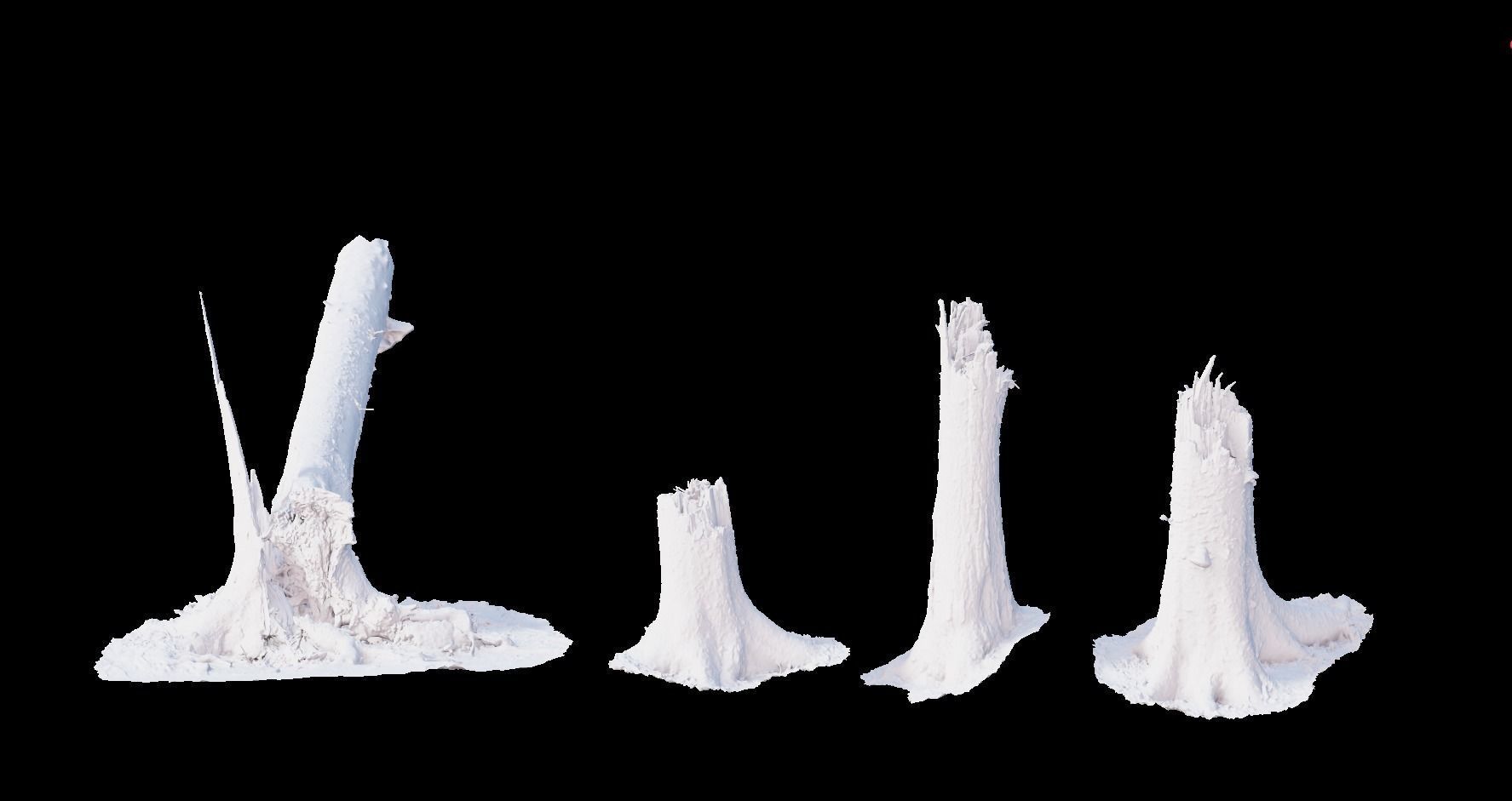 PBR Spruce Stump Broken Dead Photoscan Realistic  3D model_5