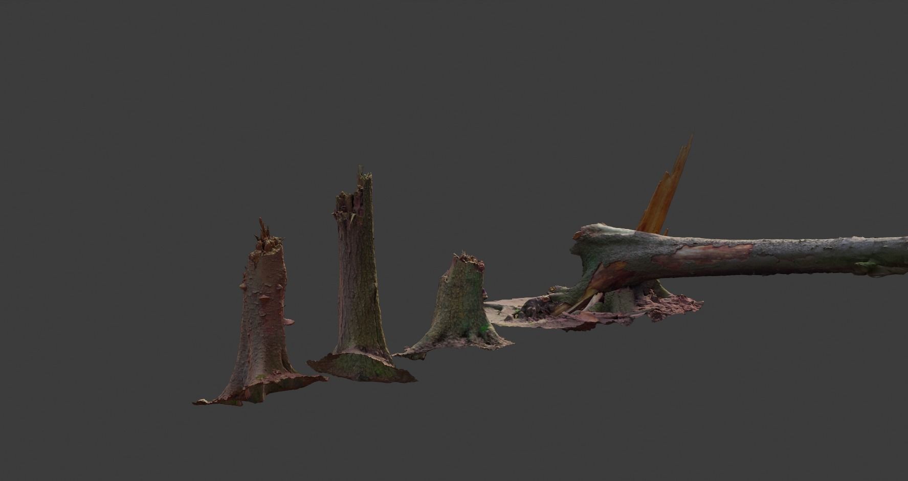 PBR Spruce Stump Broken Dead Photoscan Realistic  3D model_2