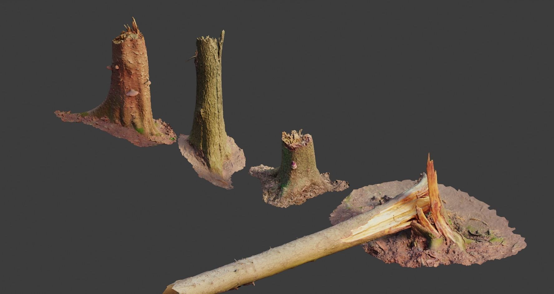 PBR Spruce Stump Broken Dead Photoscan Realistic  3D model_1