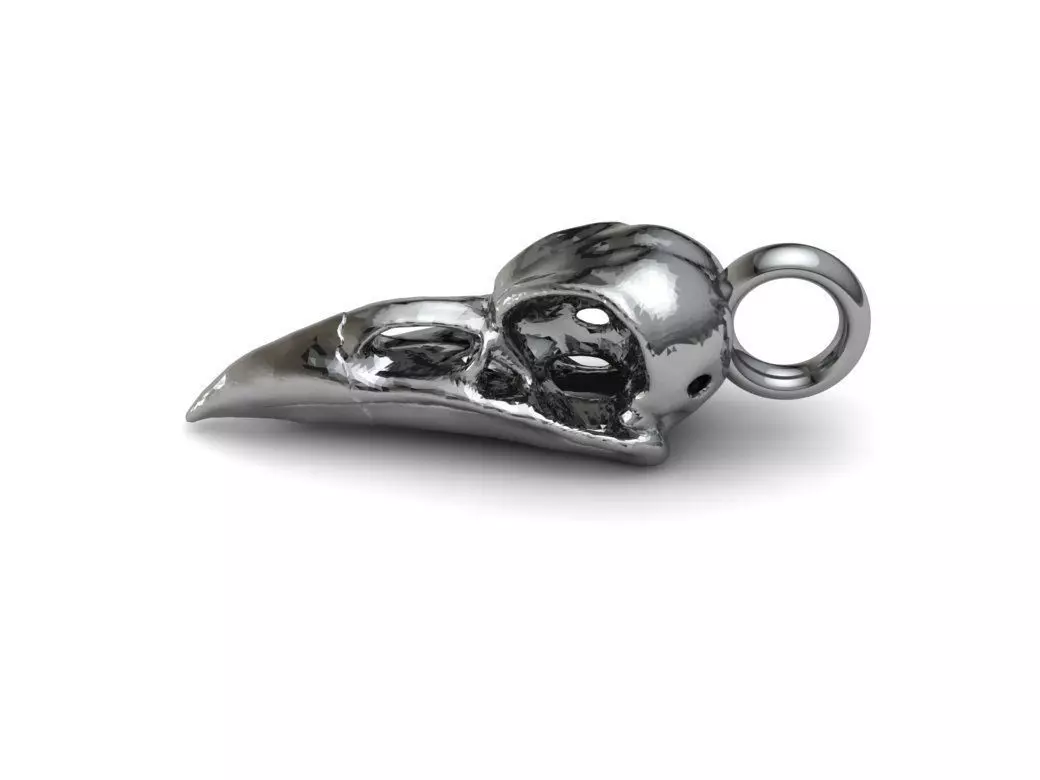 Crow Skull 3D print model_0