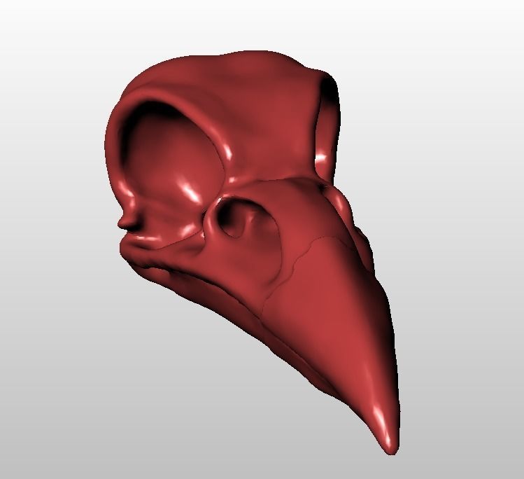 Crow Skull 3D print model_3