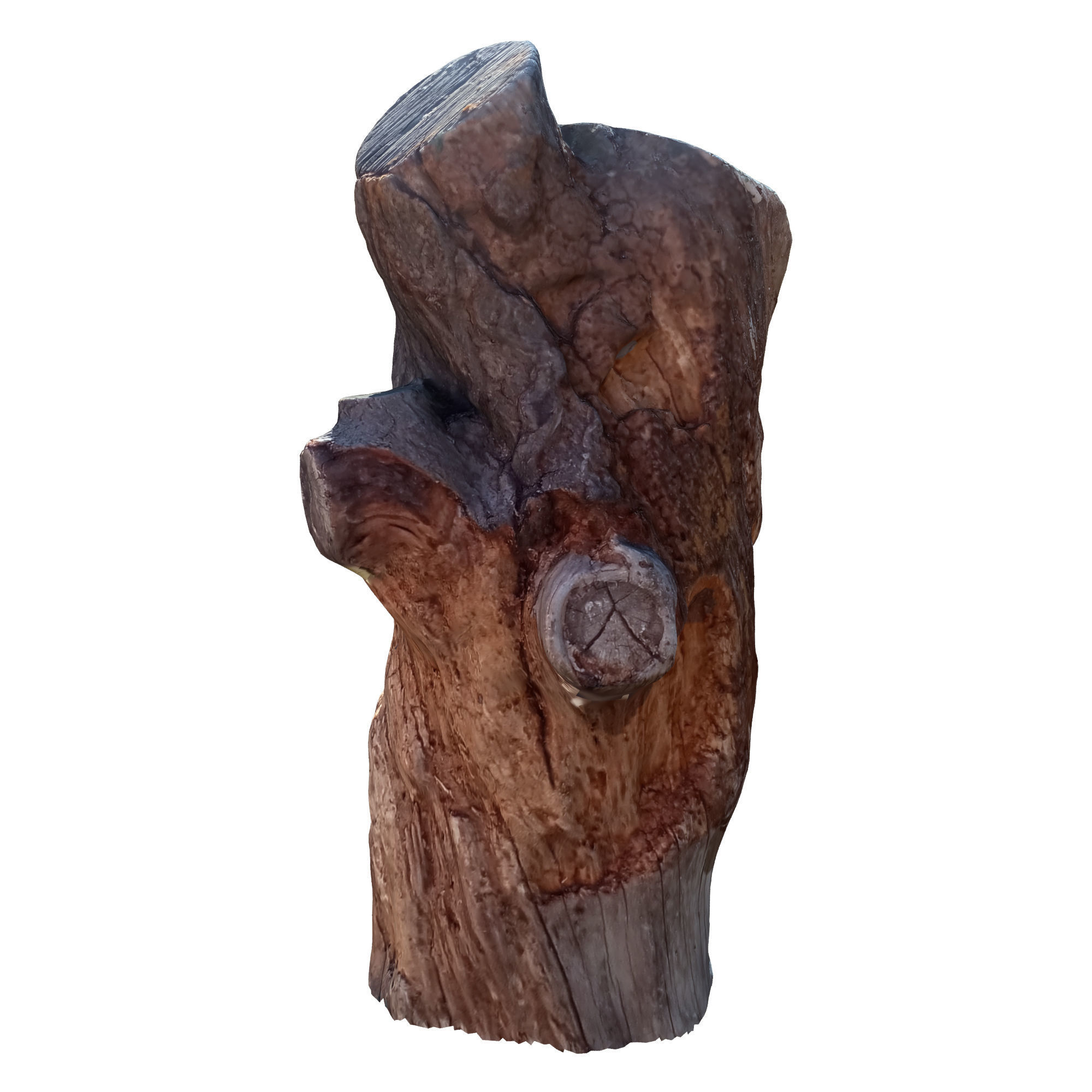 tree trunk 10 total tree trunk vol 3 3D model_23