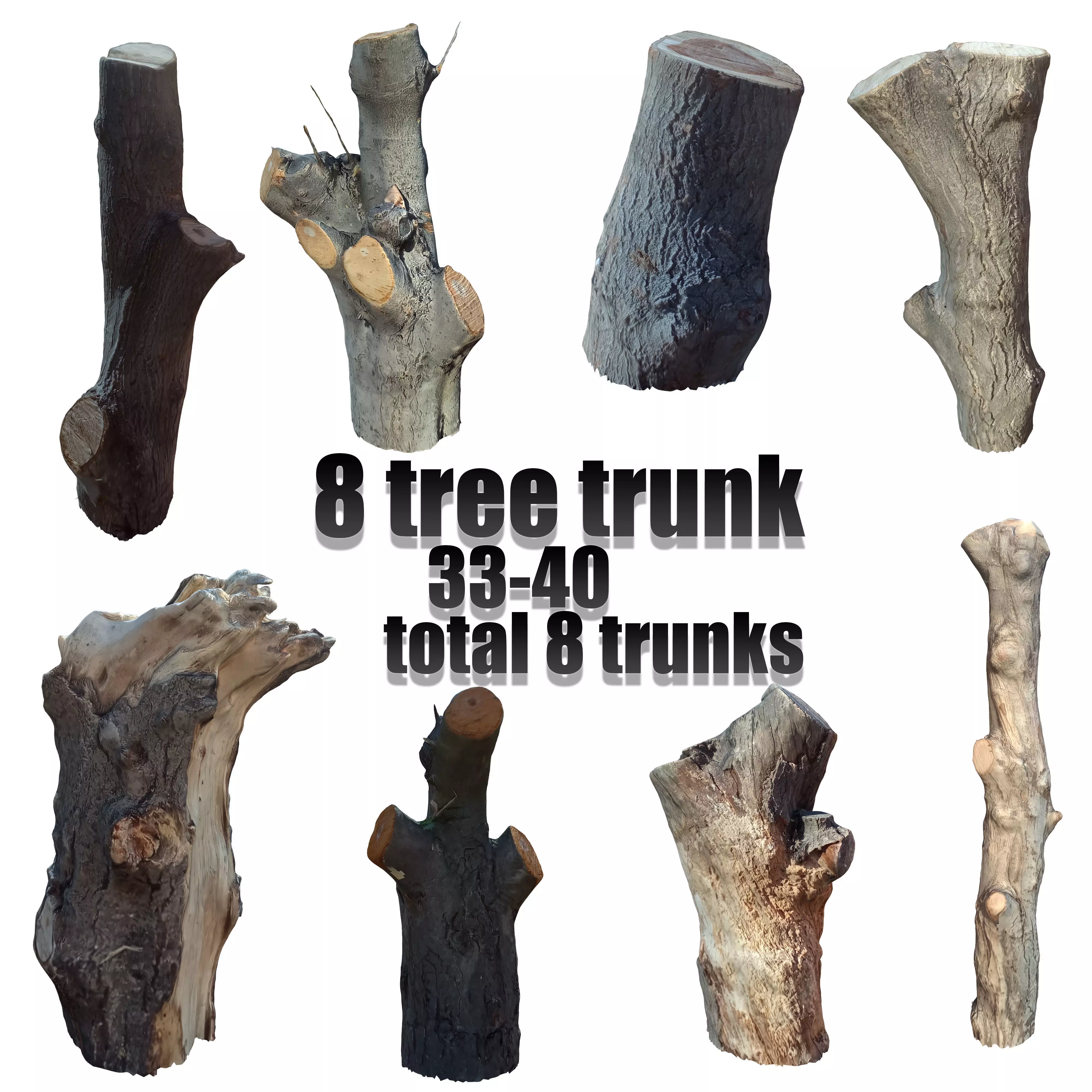 tree trunk 10 total tree trunk vol 3 3D model_0