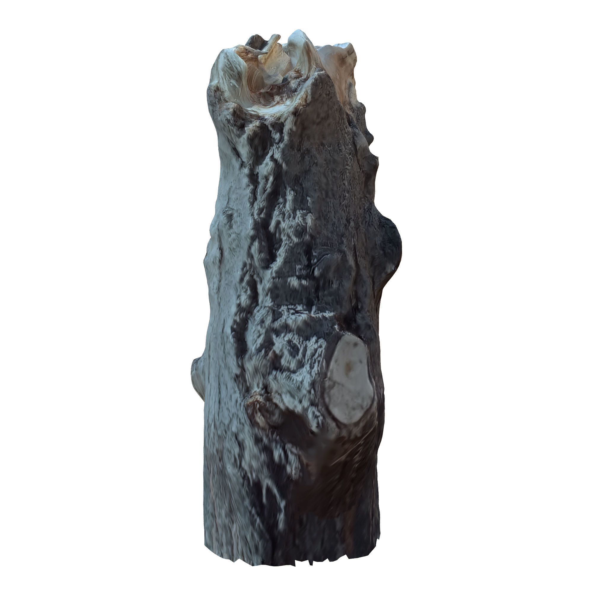 tree trunk 10 total tree trunk vol 3 3D model_3