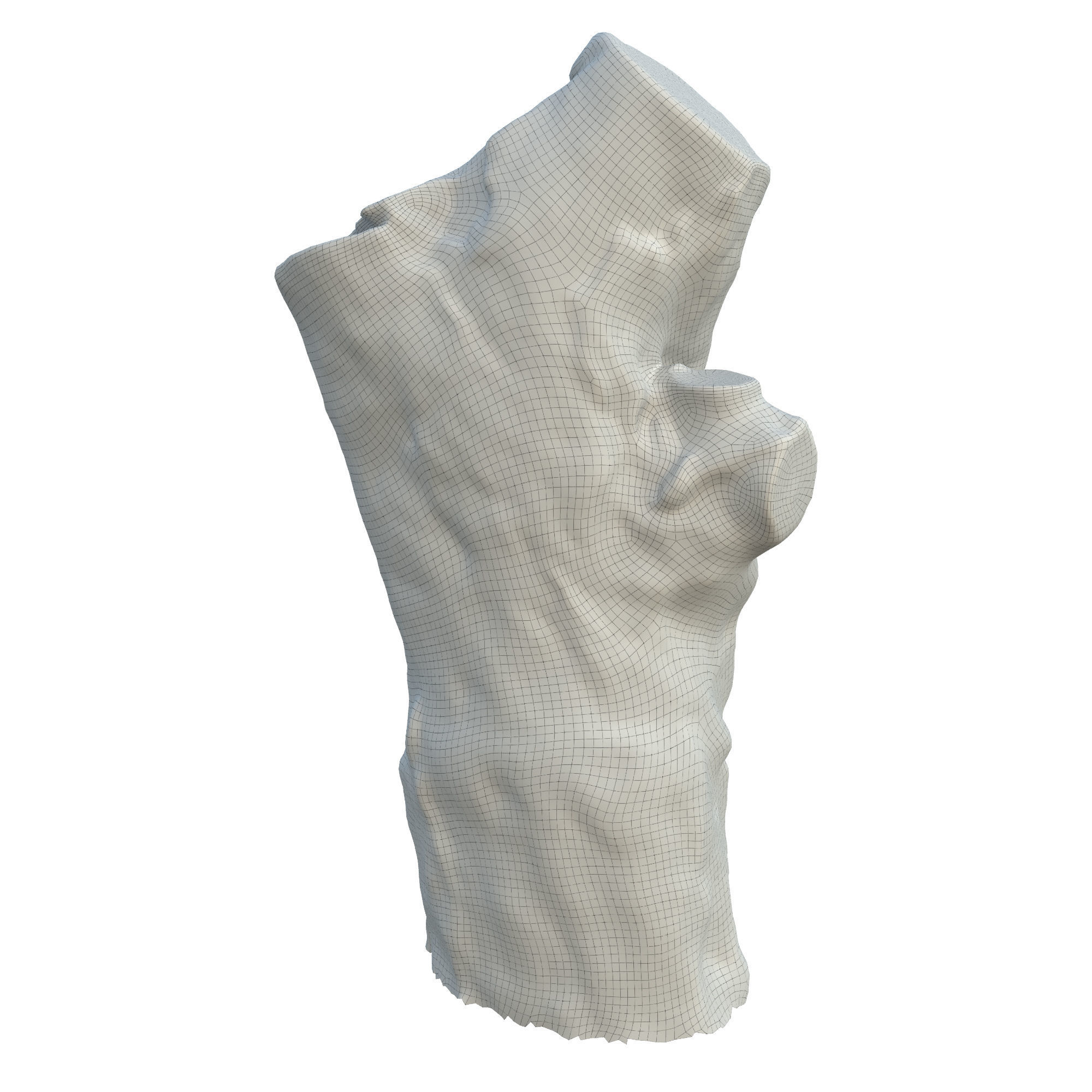 tree trunk 10 total tree trunk vol 3 3D model_20