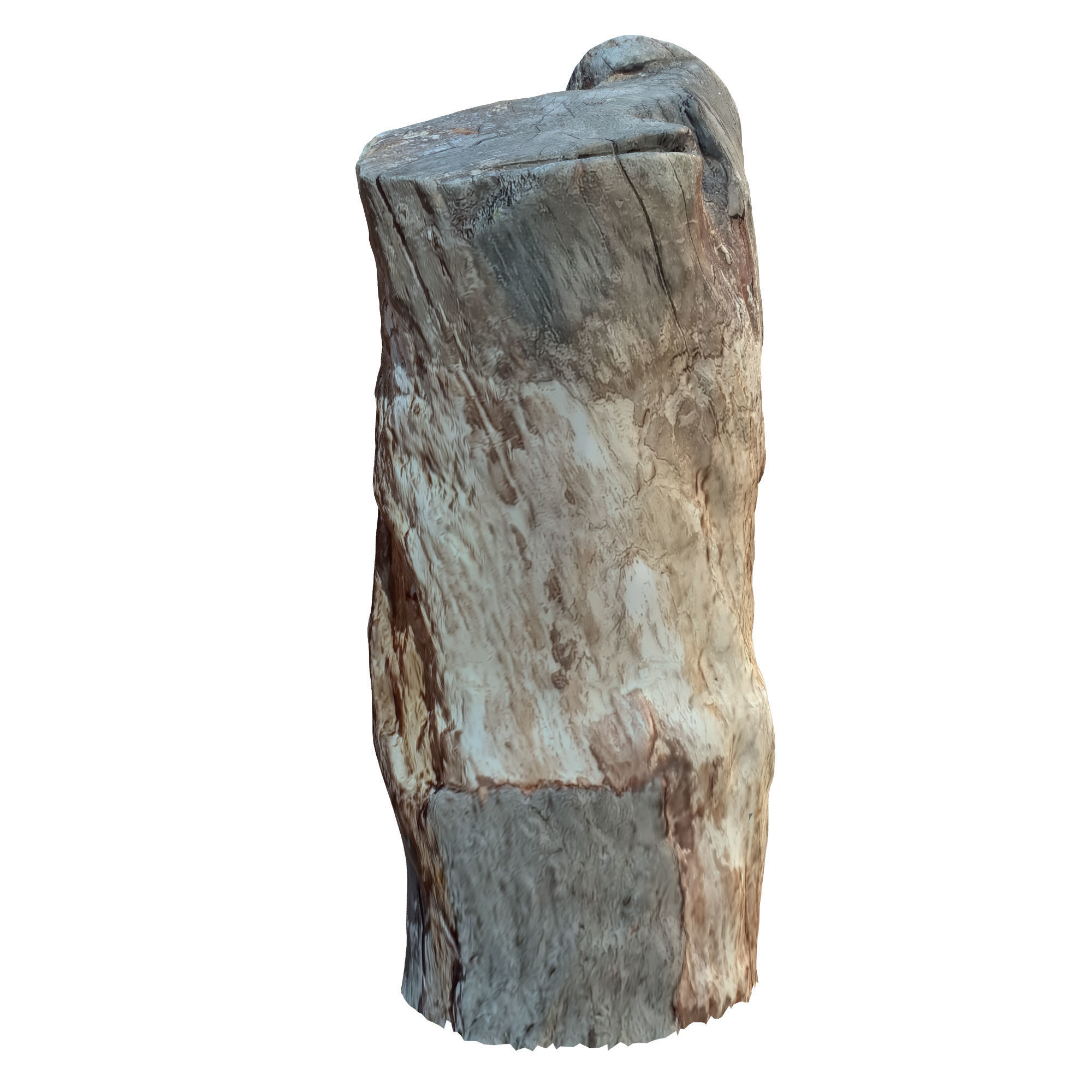 tree trunk 10 total tree trunk vol 3 3D model_22