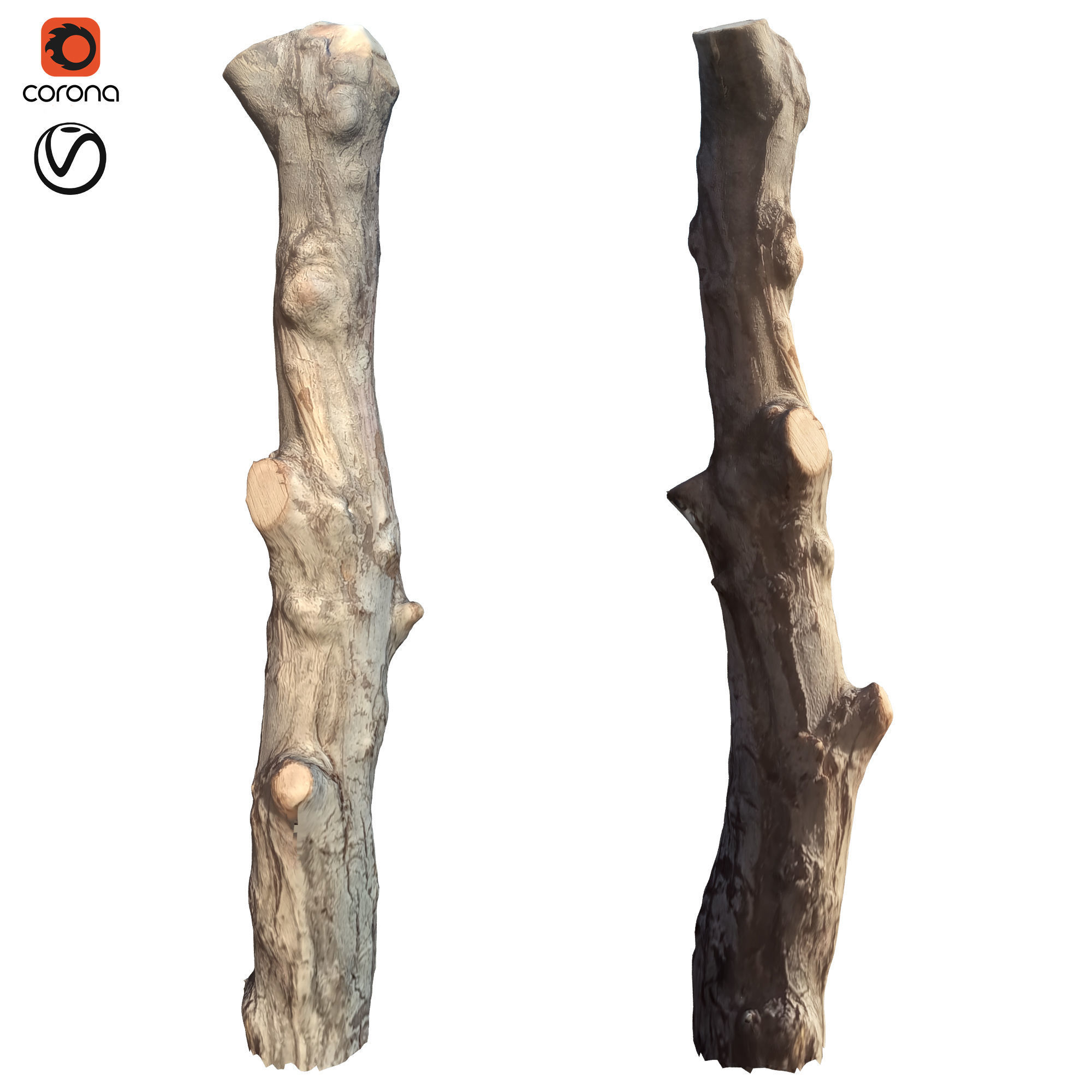 tree trunk 10 total tree trunk vol 3 3D model_13