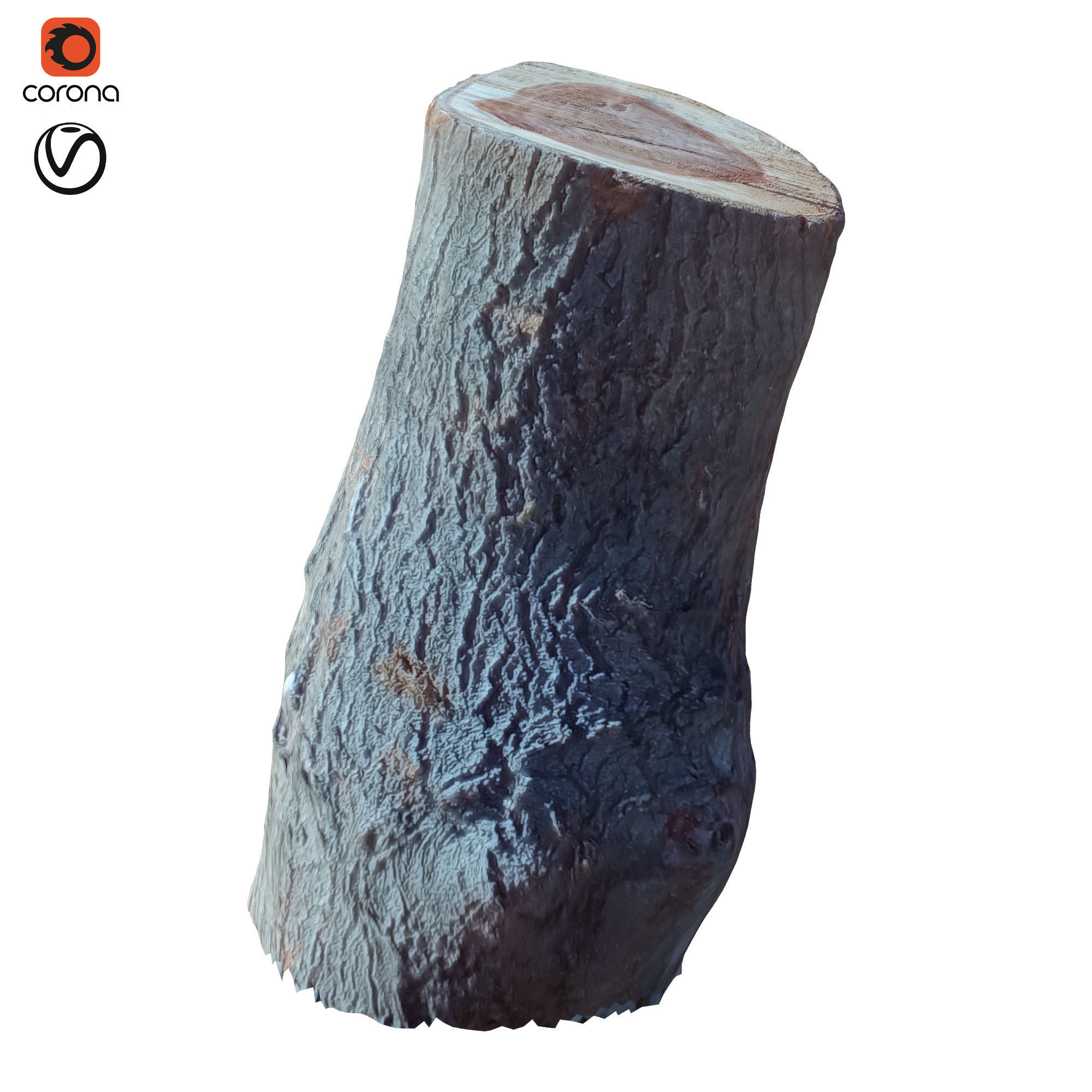 tree trunk 10 total tree trunk vol 3 3D model_4