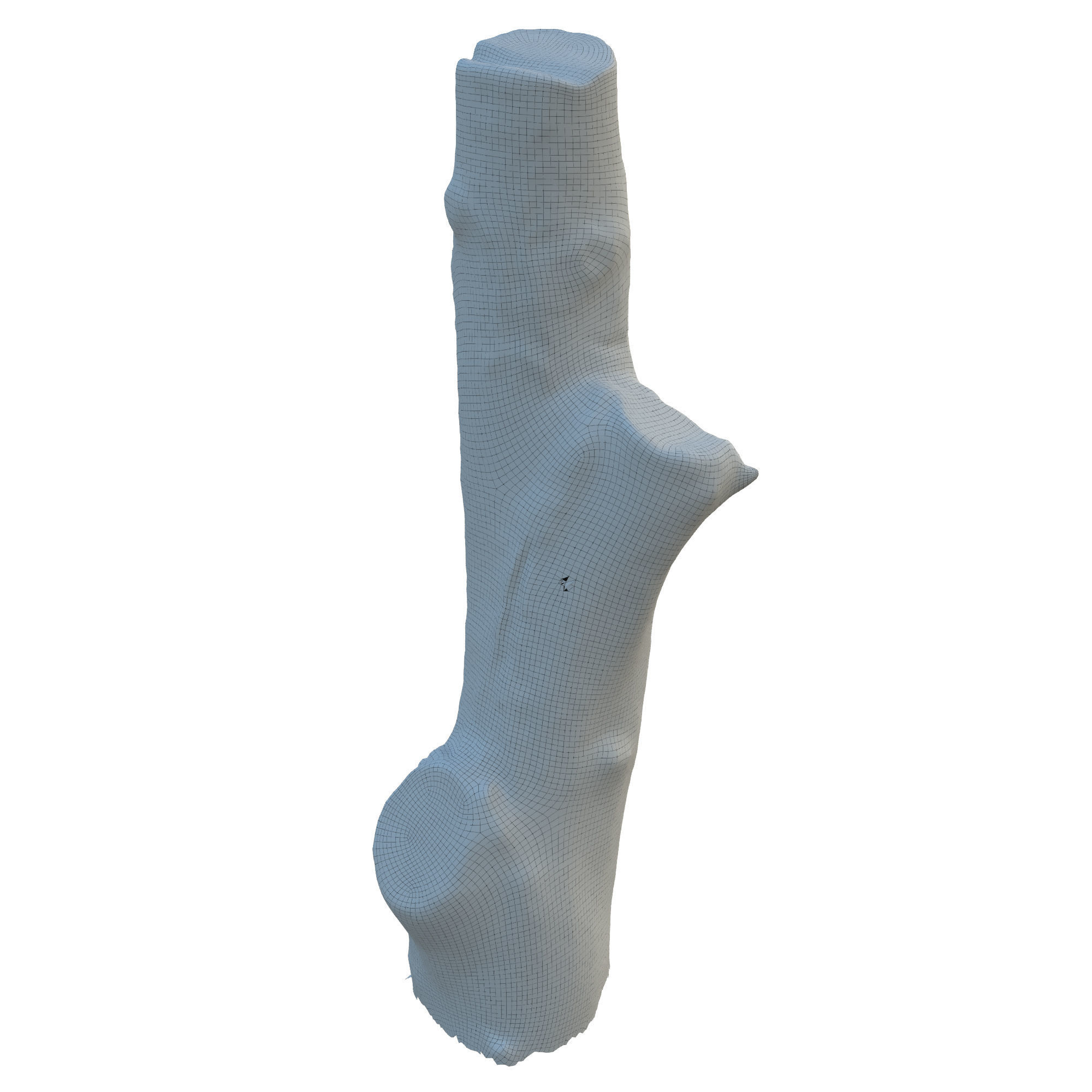 tree trunk 10 total tree trunk vol 3 3D model_15