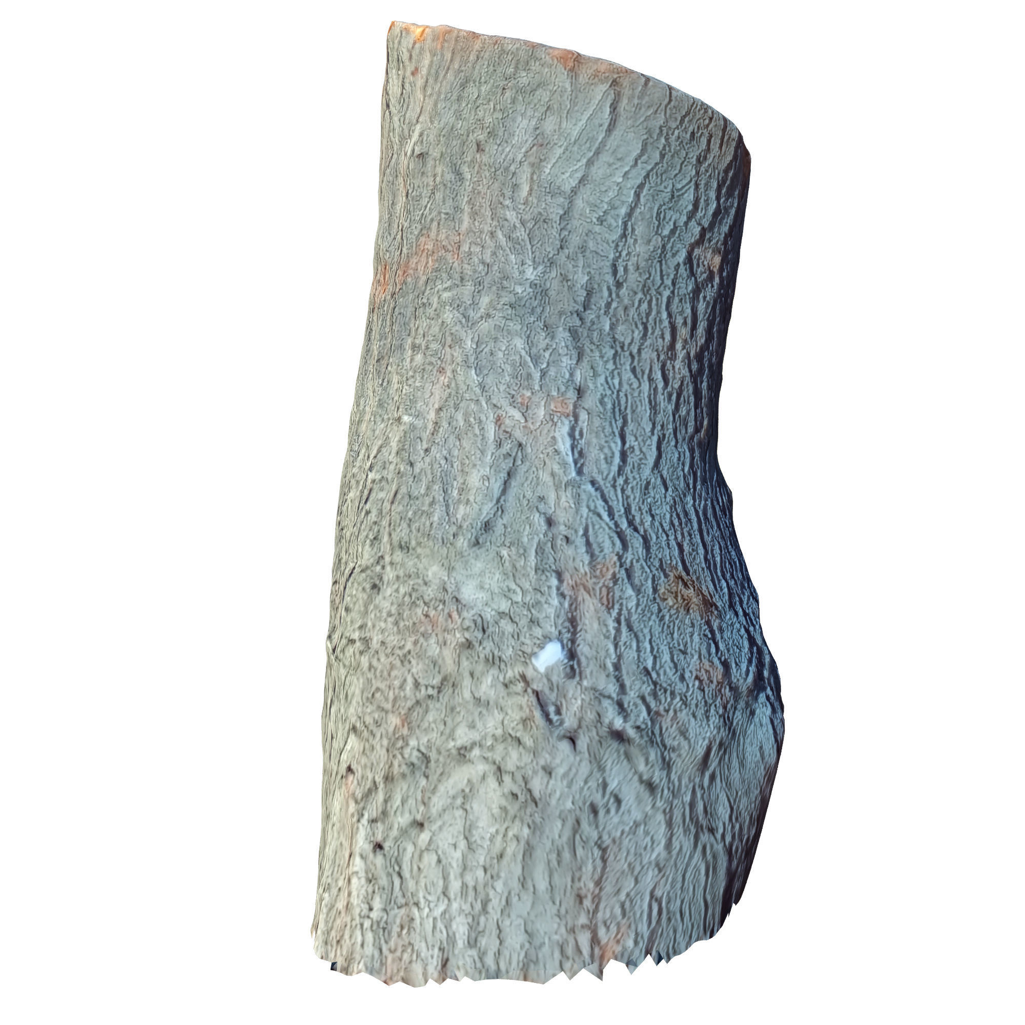tree trunk 10 total tree trunk vol 3 3D model_8