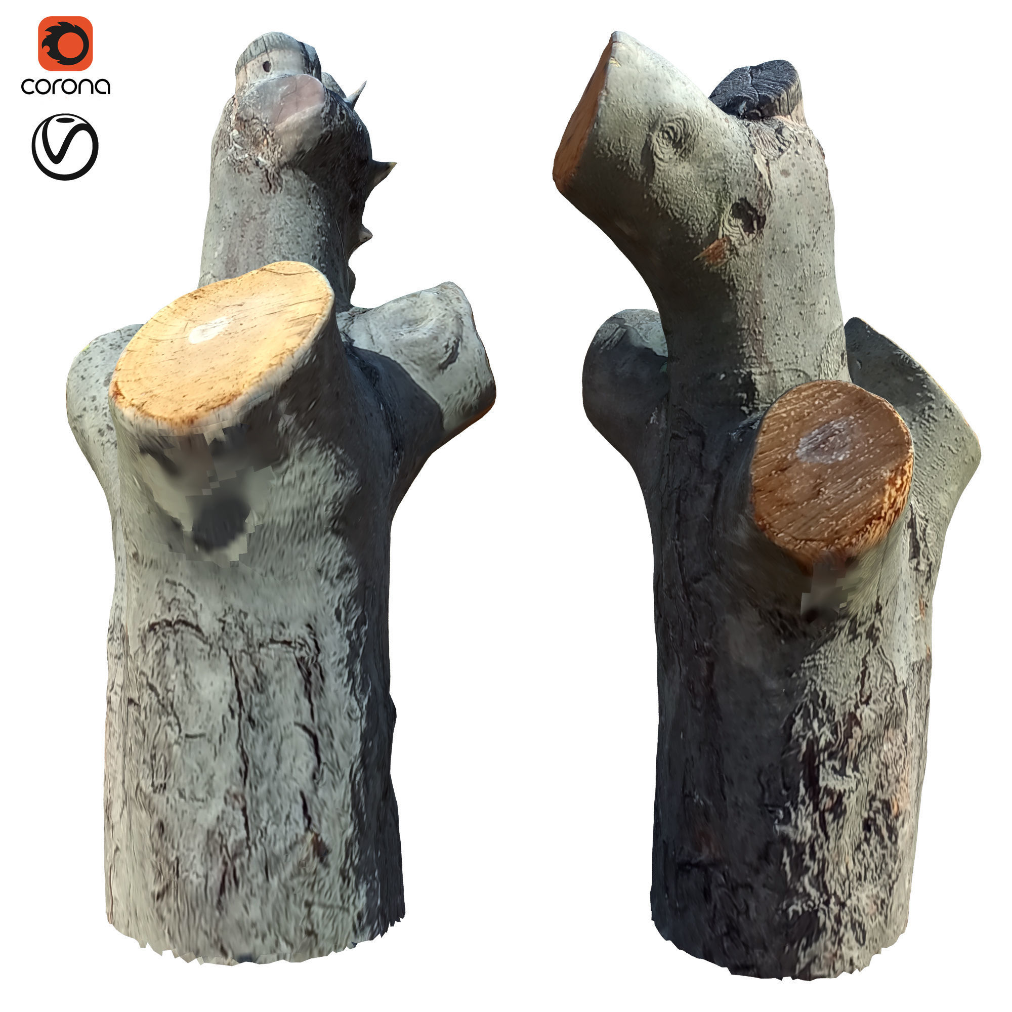 tree trunk 10 total tree trunk vol 3 3D model_33