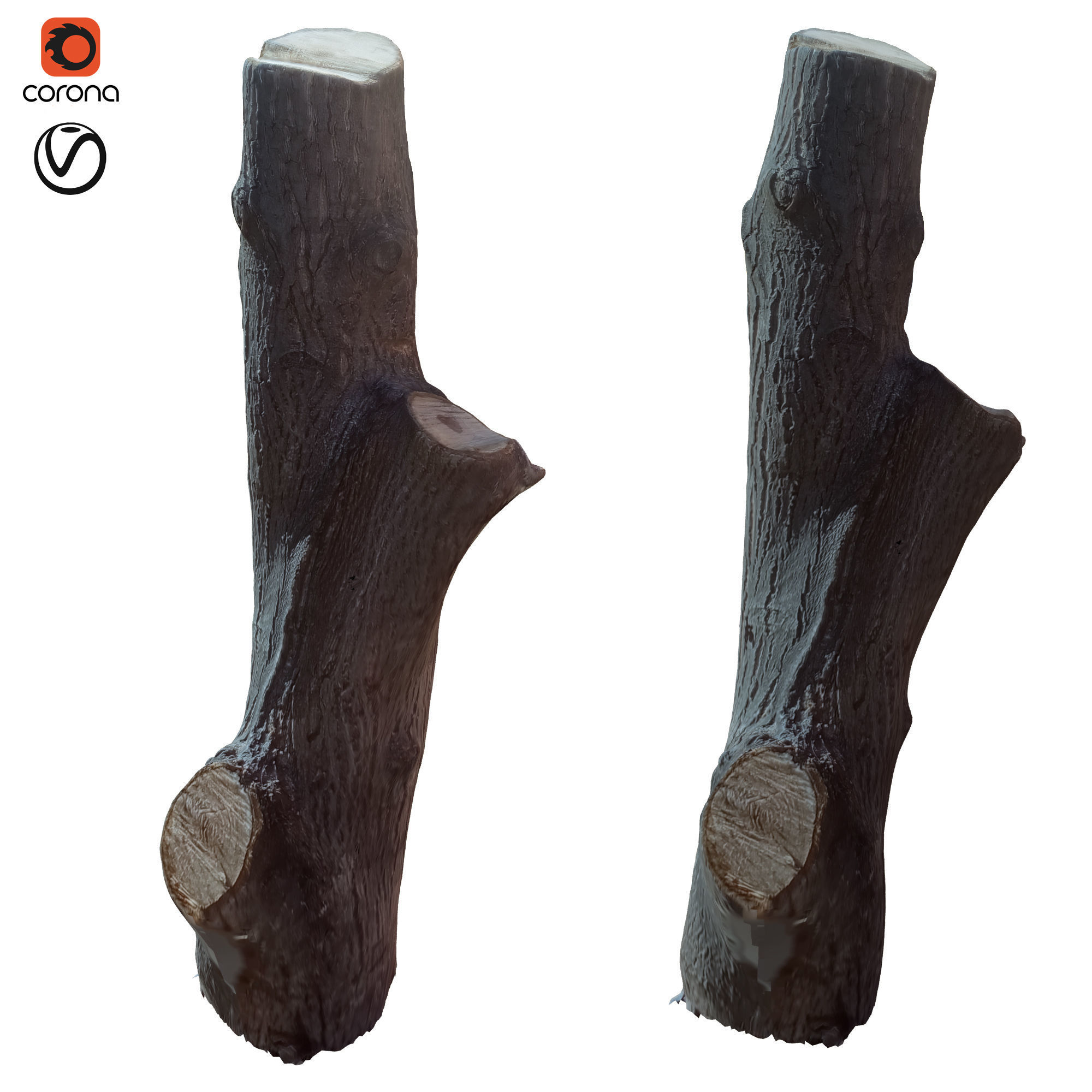 tree trunk 10 total tree trunk vol 3 3D model_16