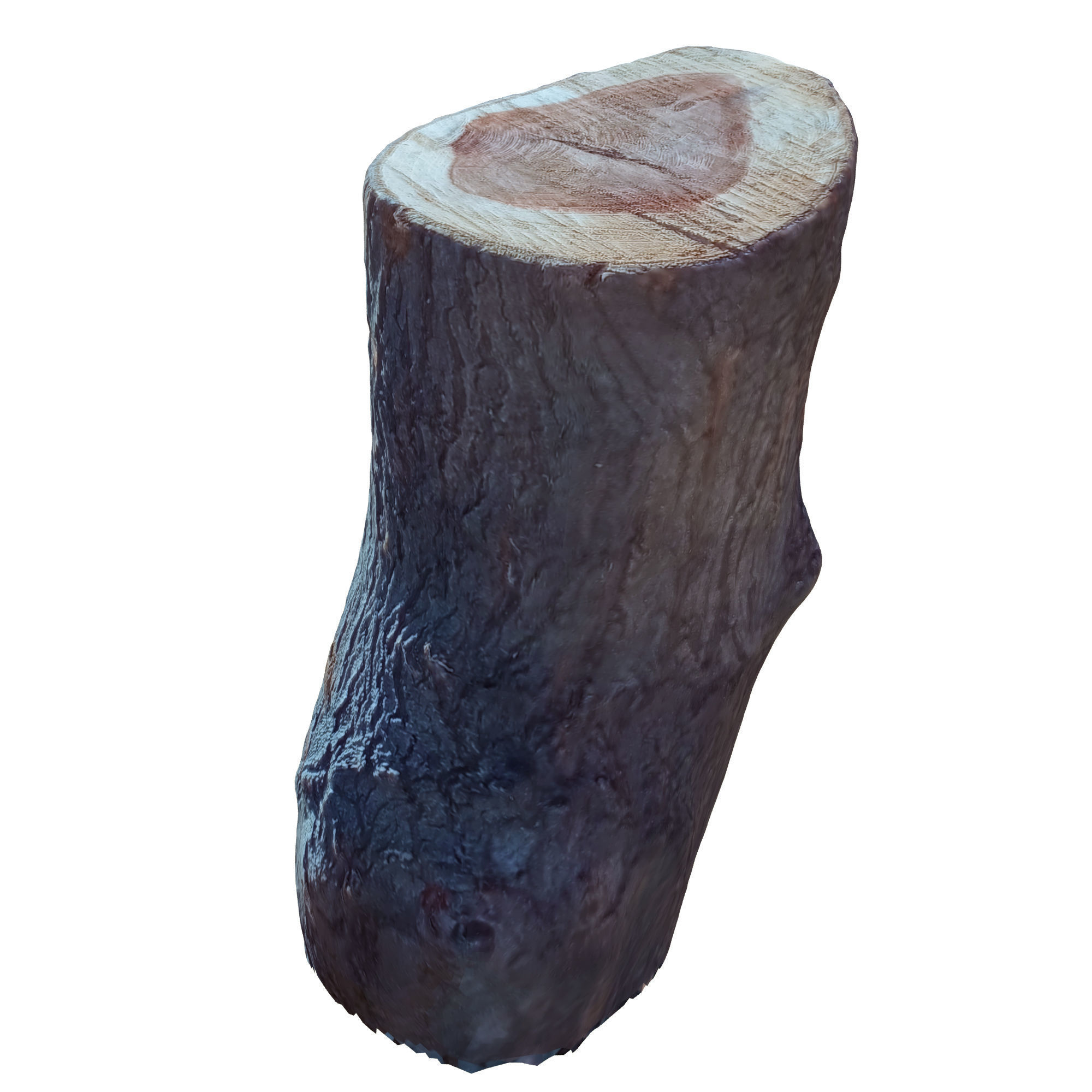 tree trunk 10 total tree trunk vol 3 3D model_5
