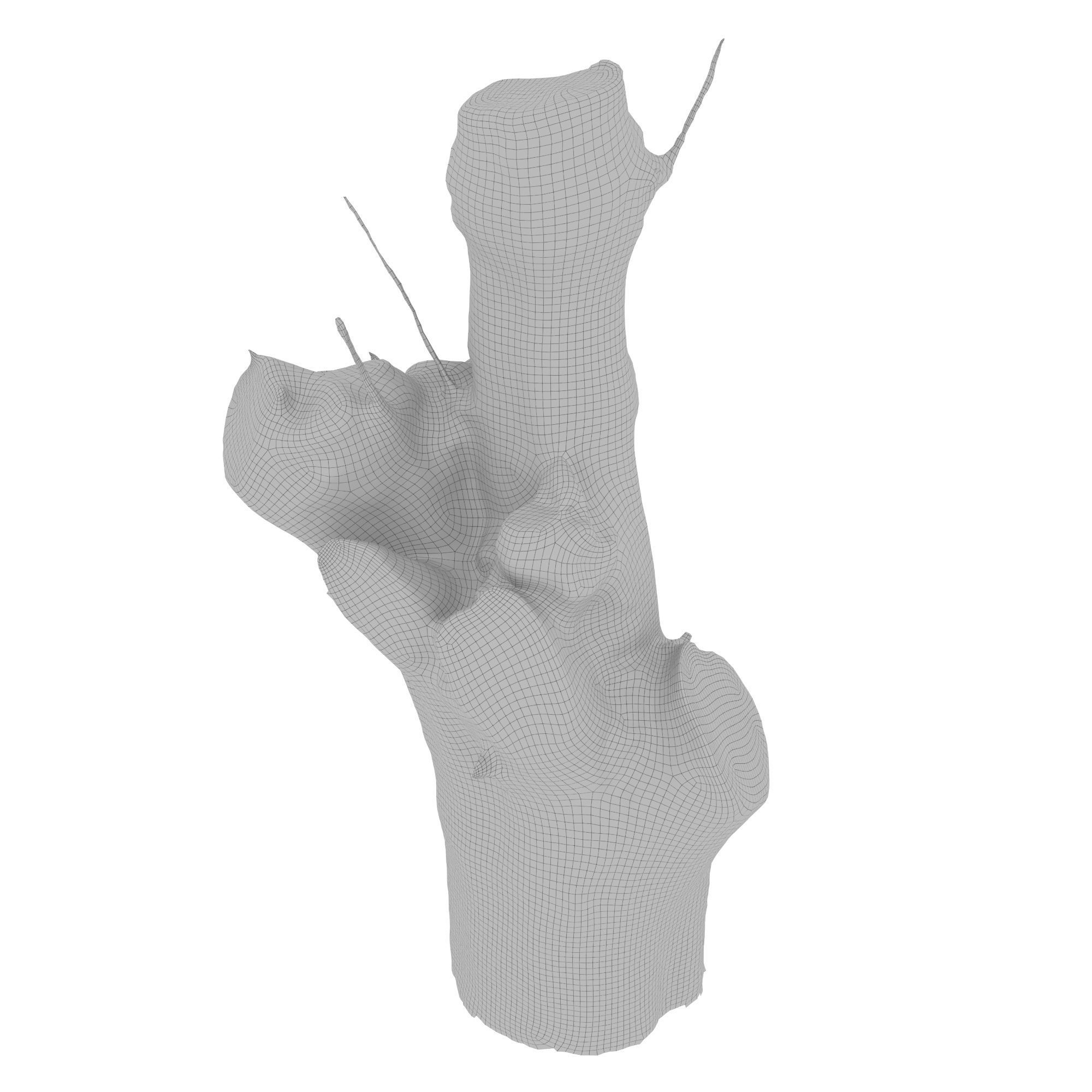 tree trunk 10 total tree trunk vol 3 3D model_24