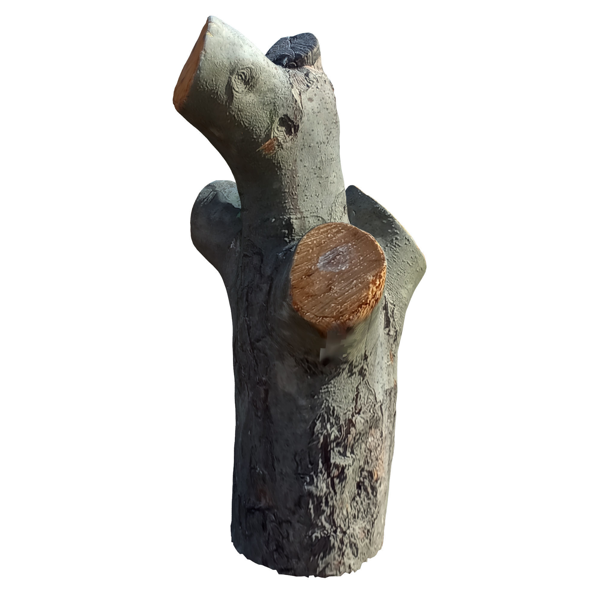 tree trunk 10 total tree trunk vol 3 3D model_31