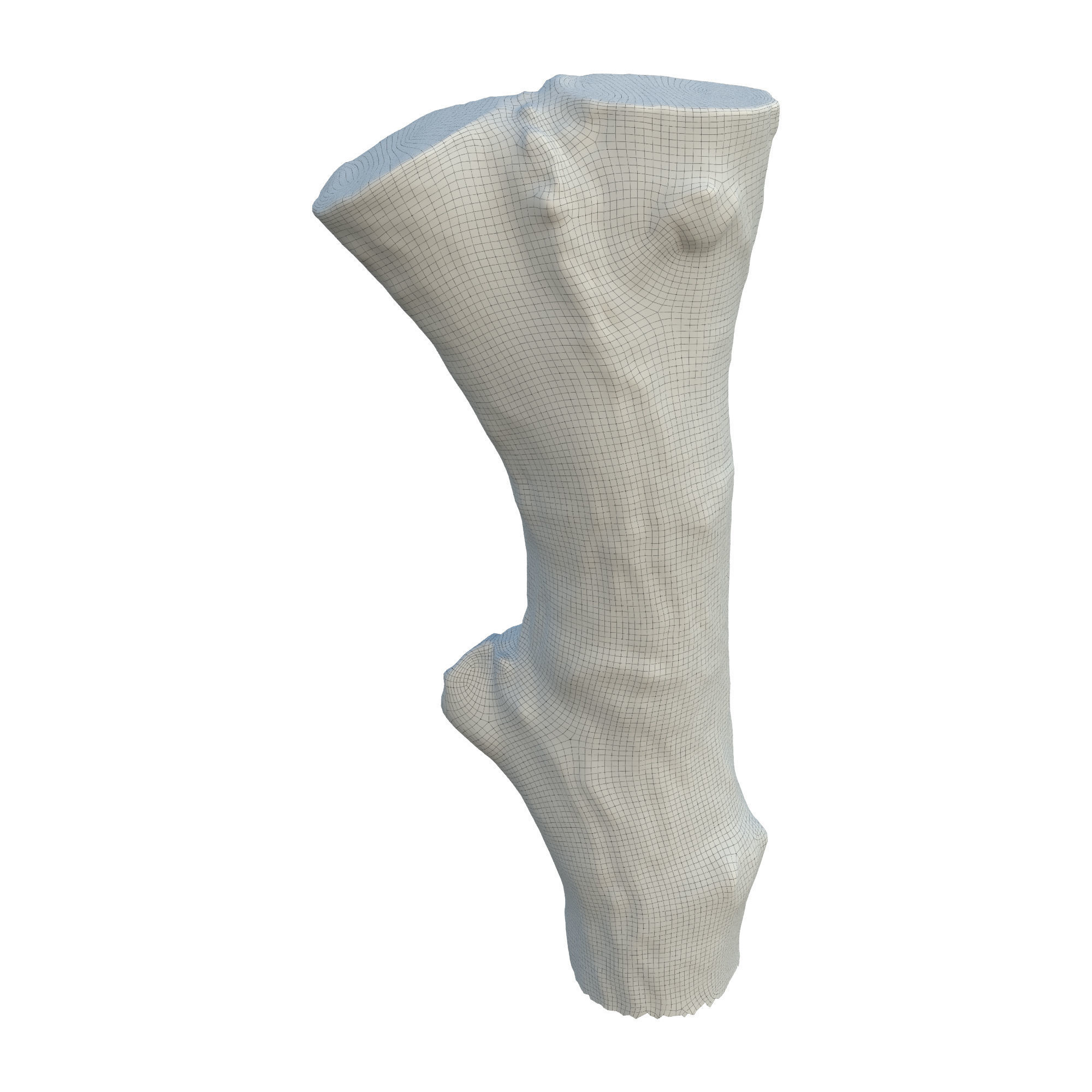 tree trunk 10 total tree trunk vol 3 3D model_9