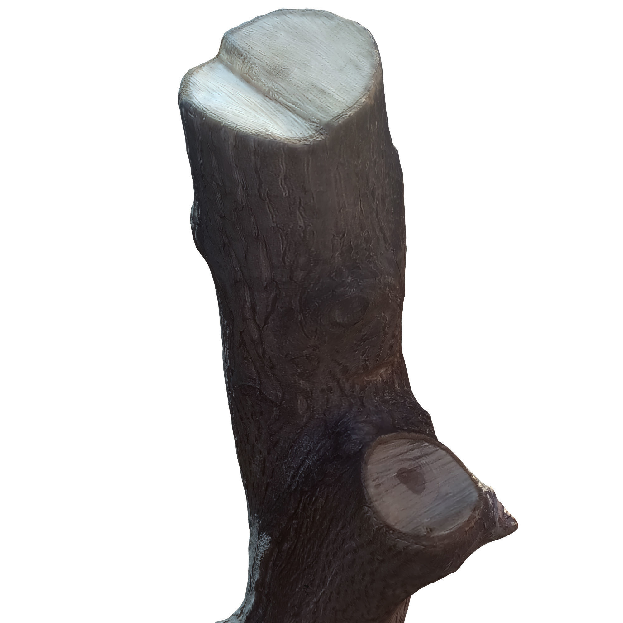 tree trunk 10 total tree trunk vol 3 3D model_14