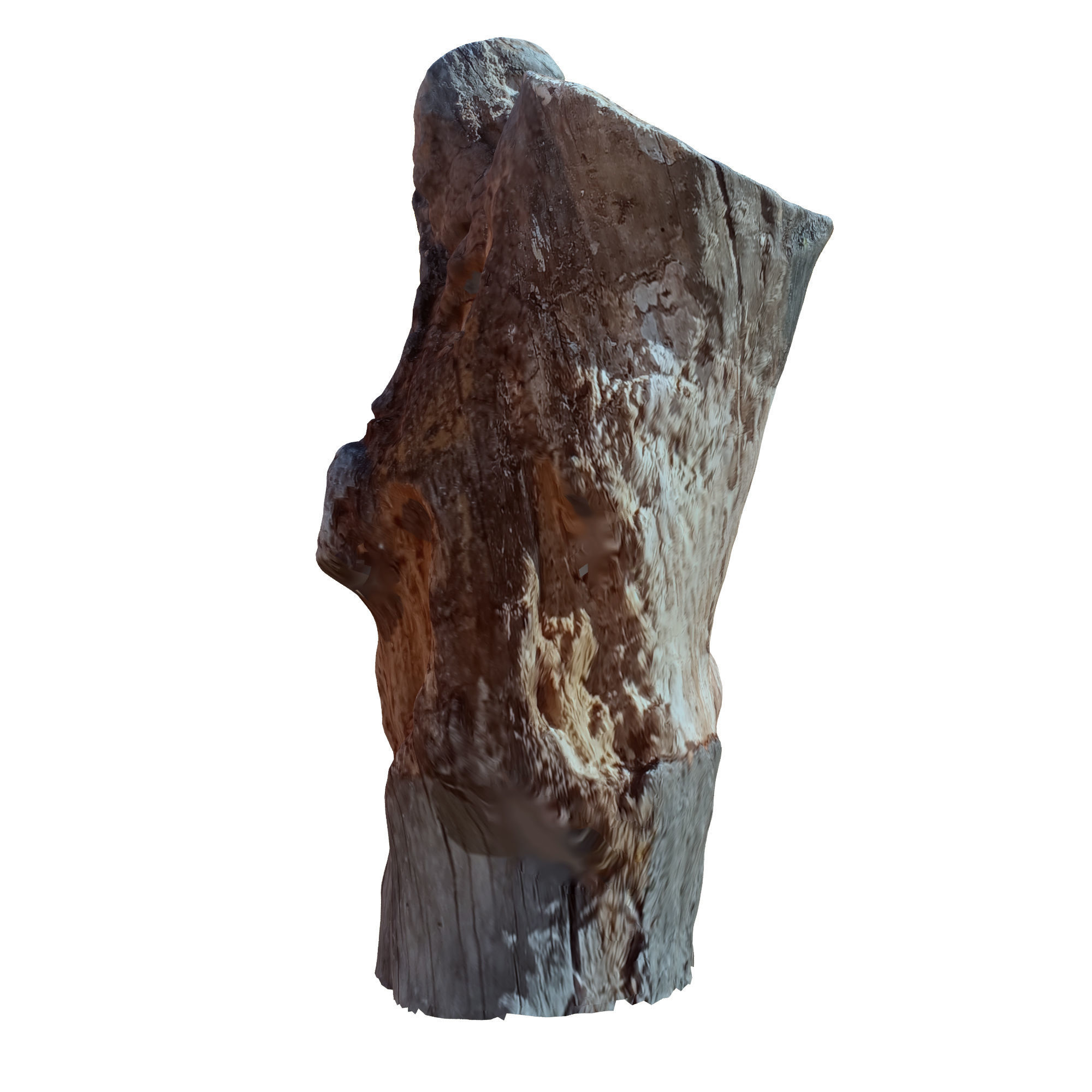 tree trunk 10 total tree trunk vol 3 3D model_19