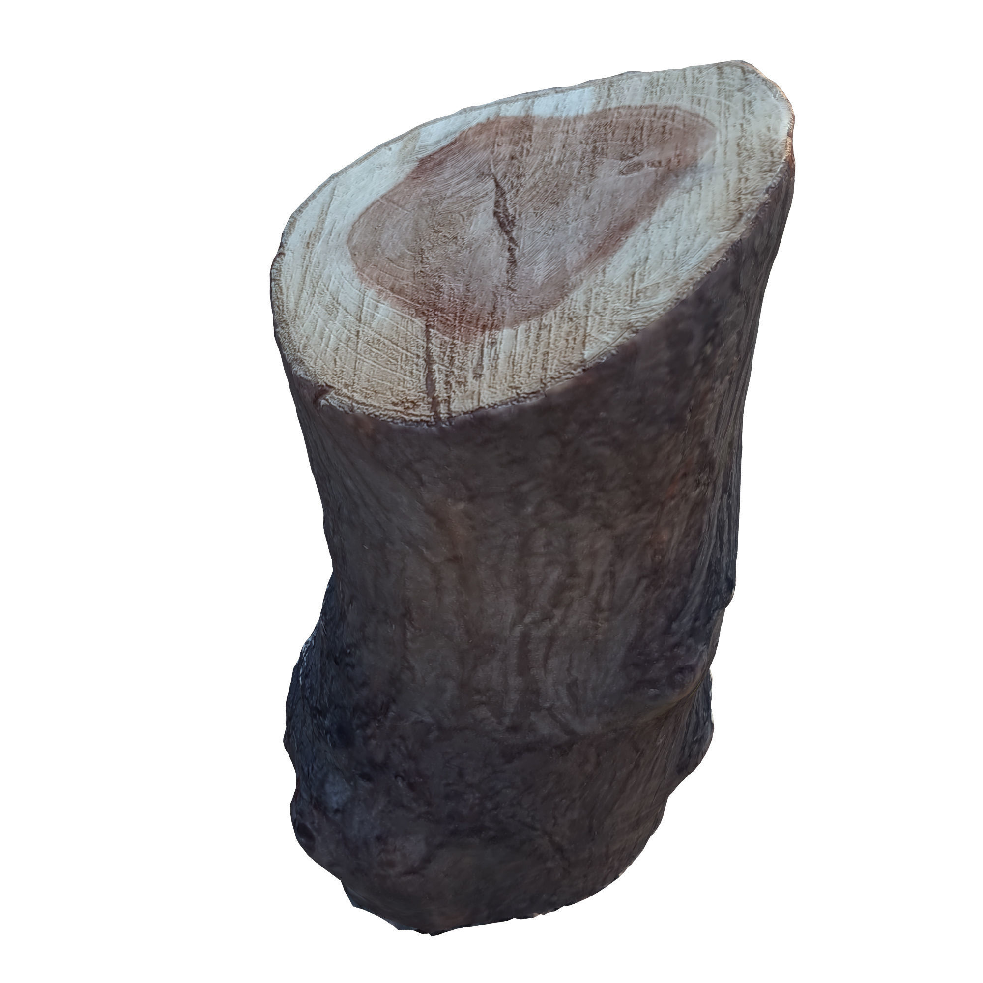 tree trunk 10 total tree trunk vol 3 3D model_1
