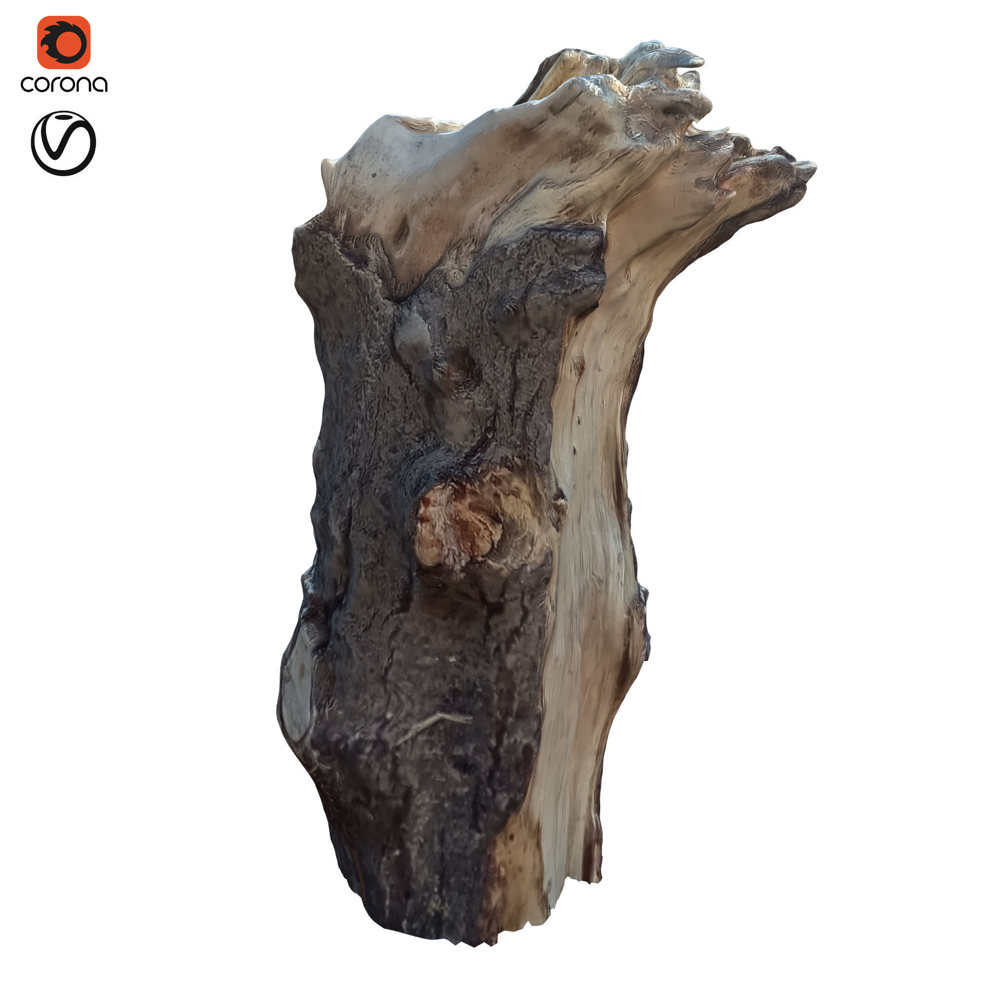 tree trunk 10 total tree trunk vol 3 3D model_2