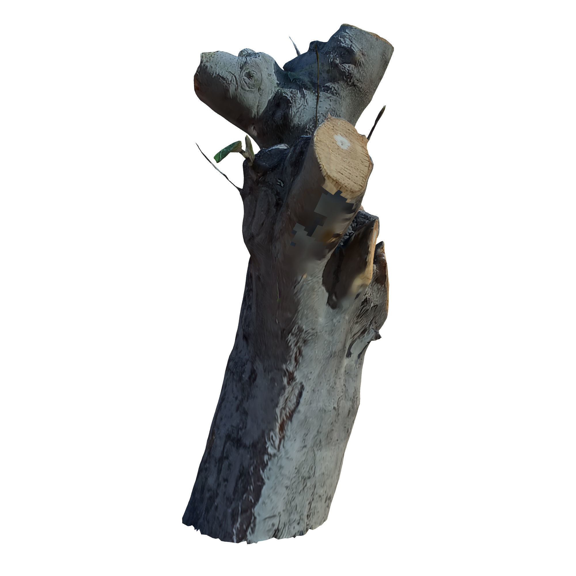 tree trunk 10 total tree trunk vol 3 3D model_21