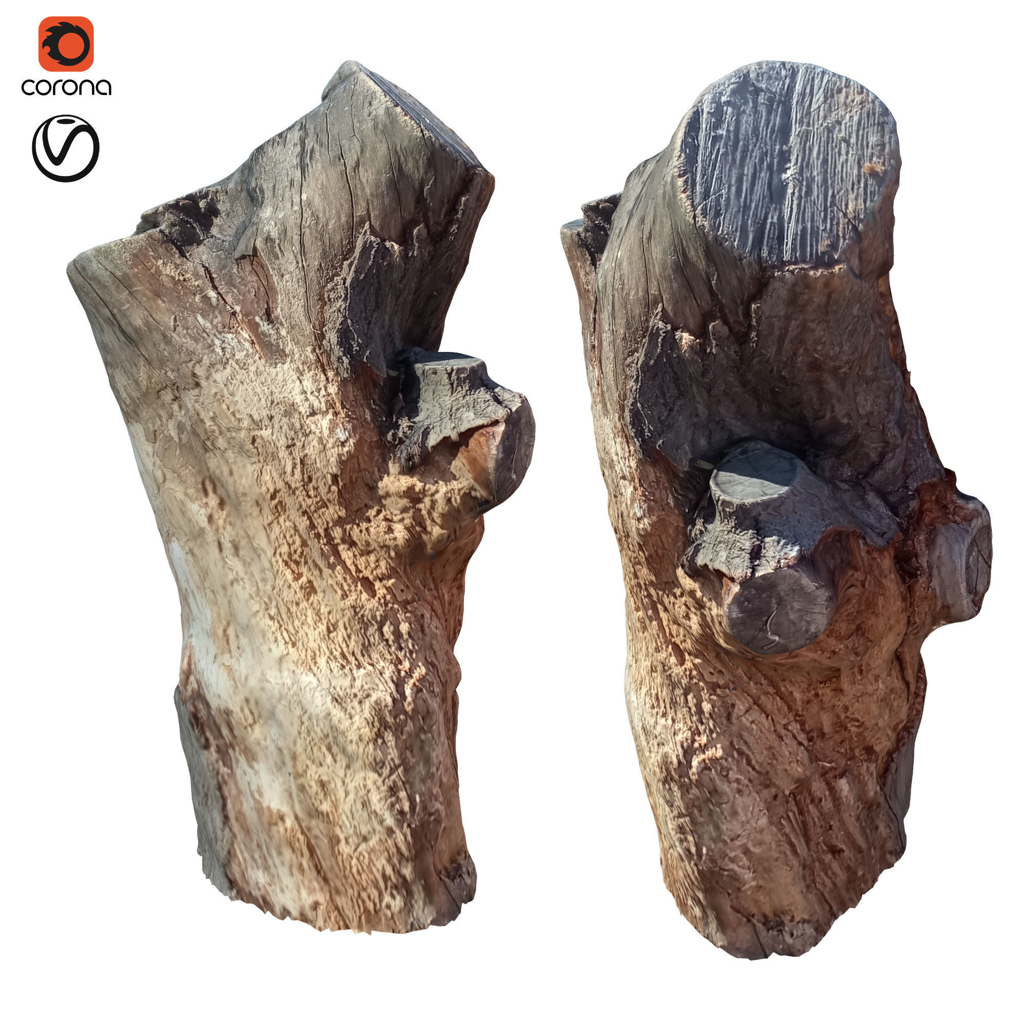 tree trunk 10 total tree trunk vol 3 3D model_25