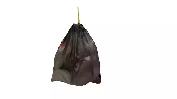 Black garbage bag 3D model