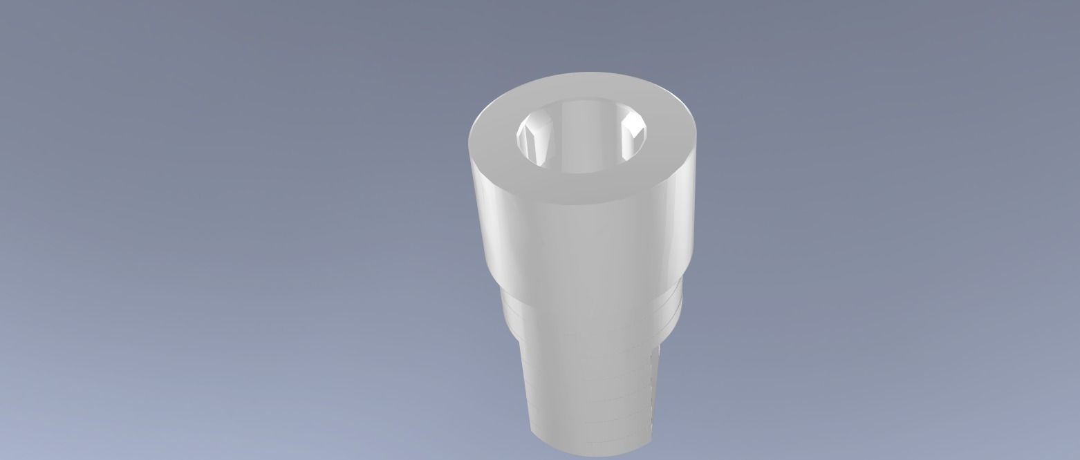 Digital Dental Implant Model with a Lab Analog 3D print model_14