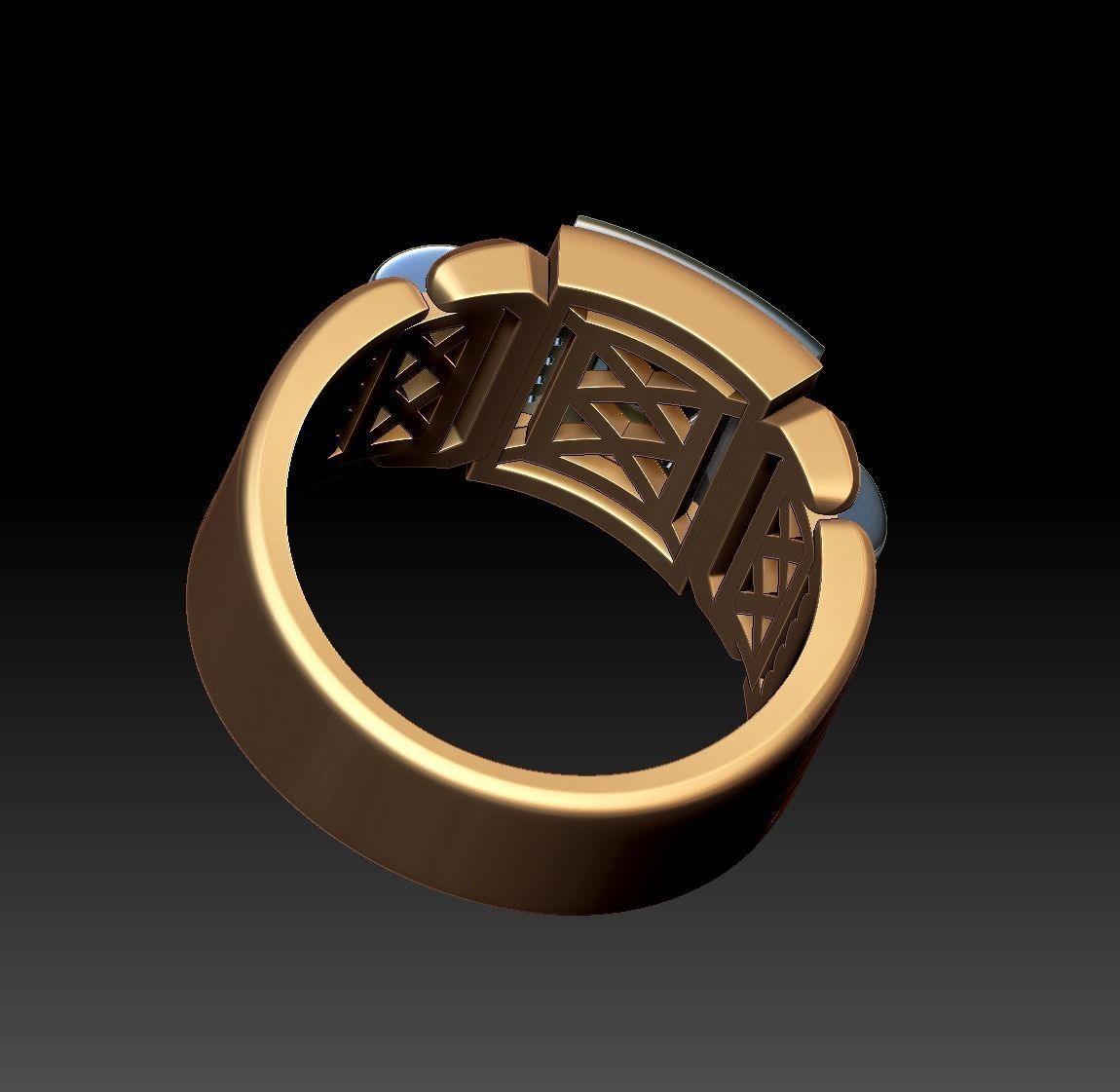 Ring MR 11 3D print model_13