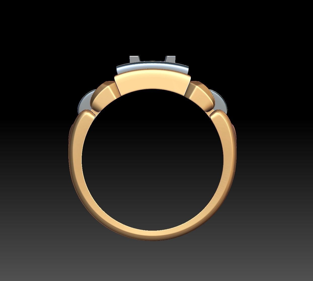 Ring MR 11 3D print model_11