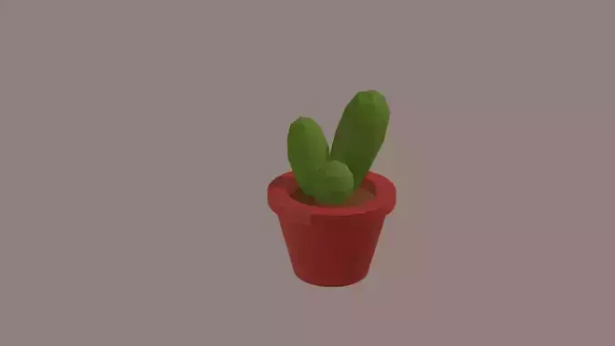 Cactus in pot