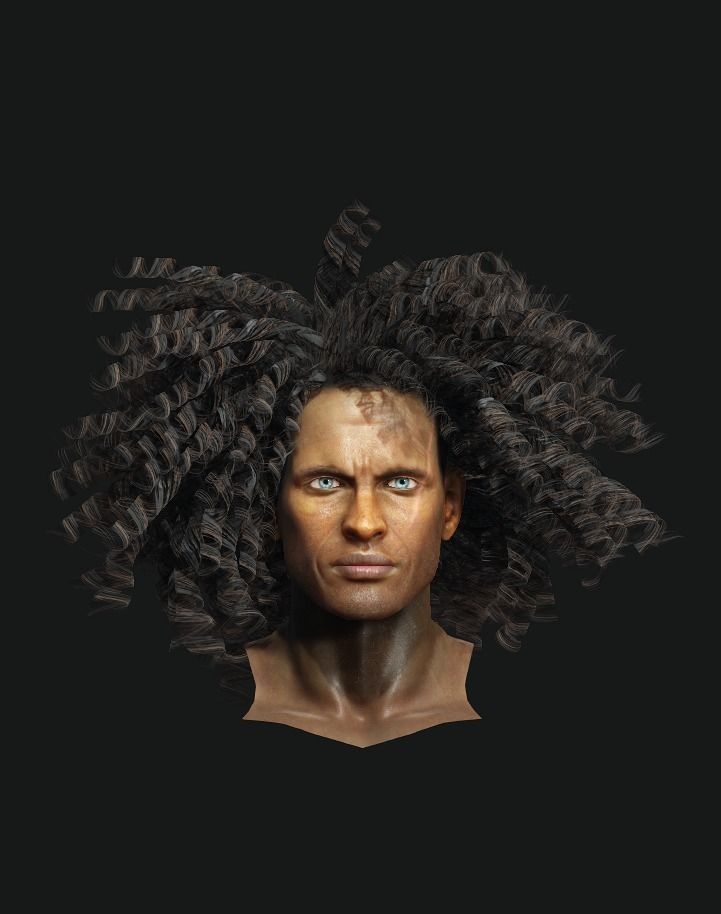 Afro Curly Hair Low-poly 3D model_1